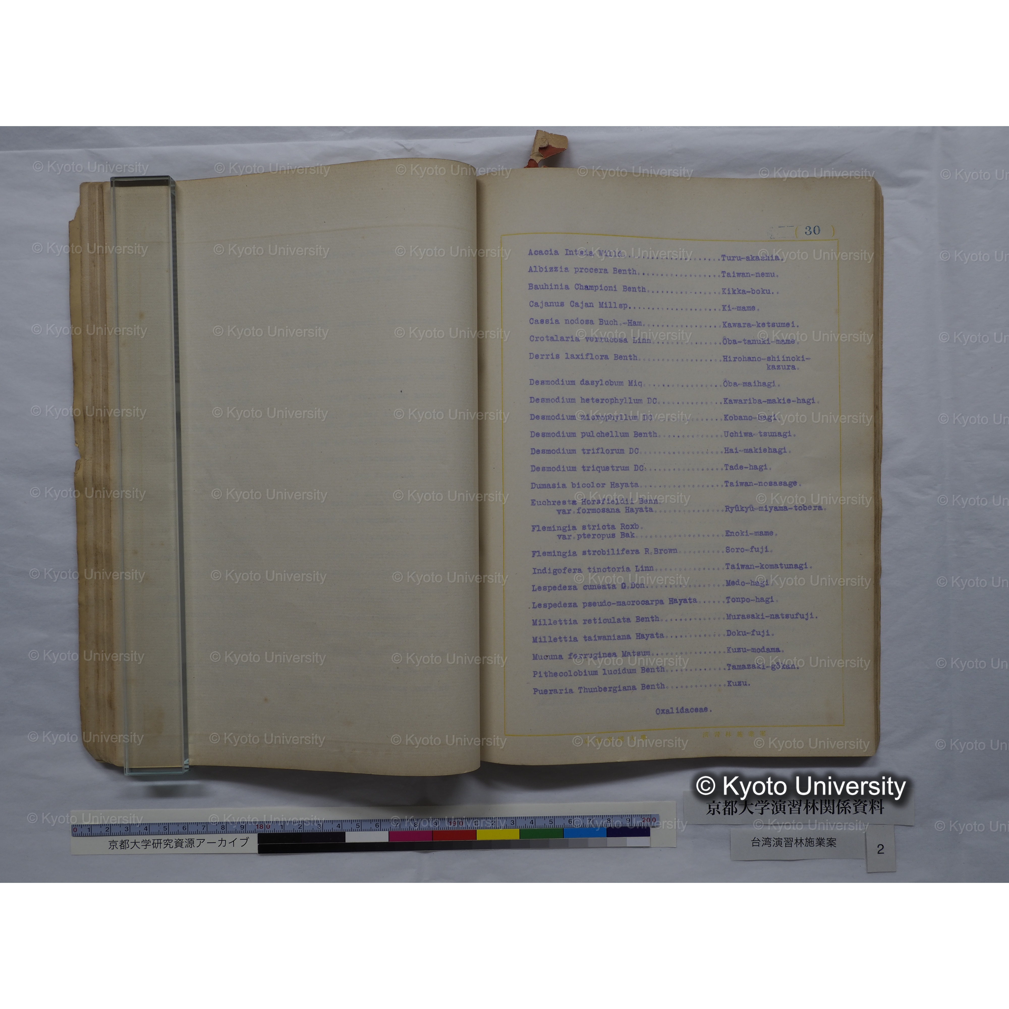 台湾演習林　施業案　実行期間＜自昭和 6年／至昭和12年＞　昭和六年四月編成. (129)