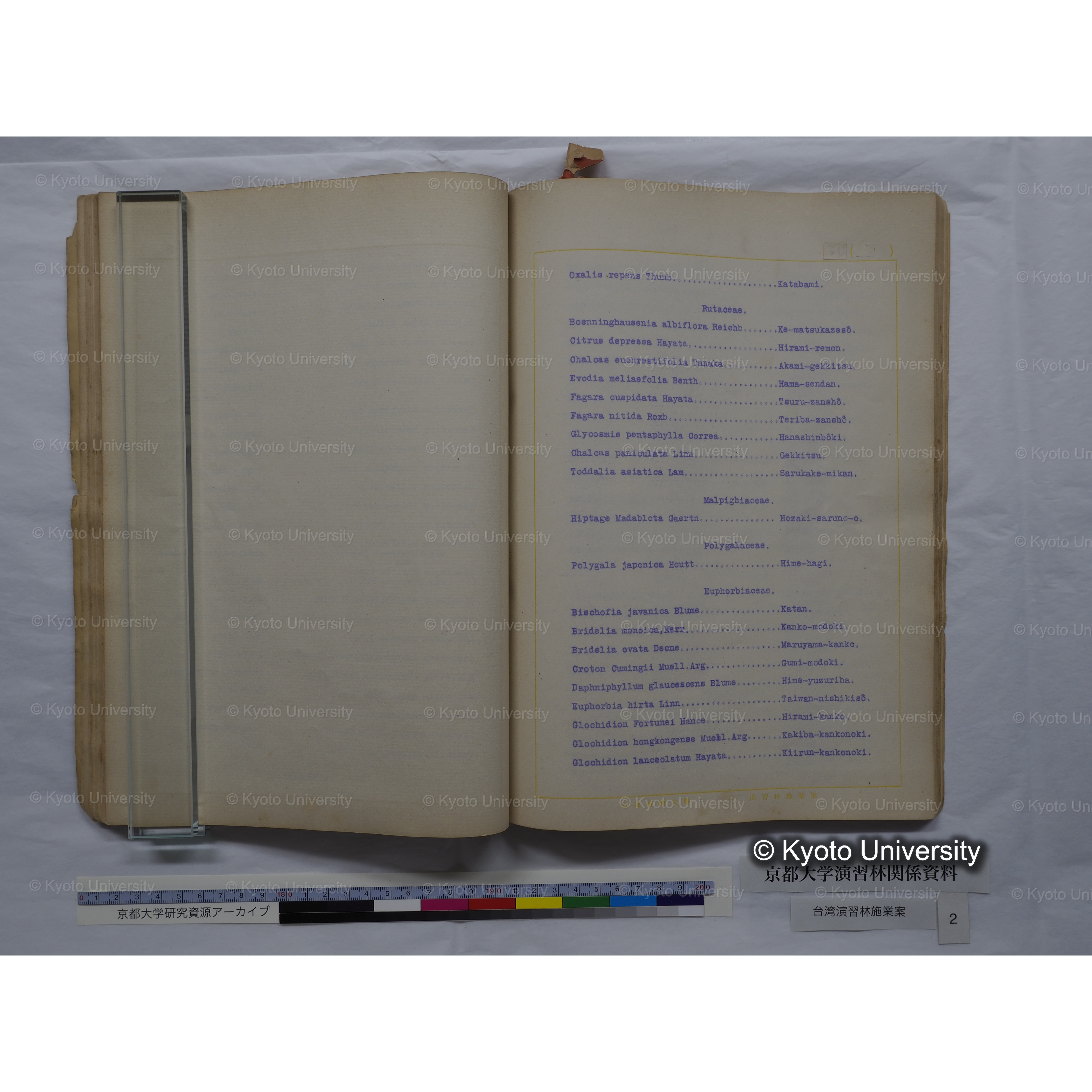 台湾演習林　施業案　実行期間＜自昭和 6年／至昭和12年＞　昭和六年四月編成. (130)