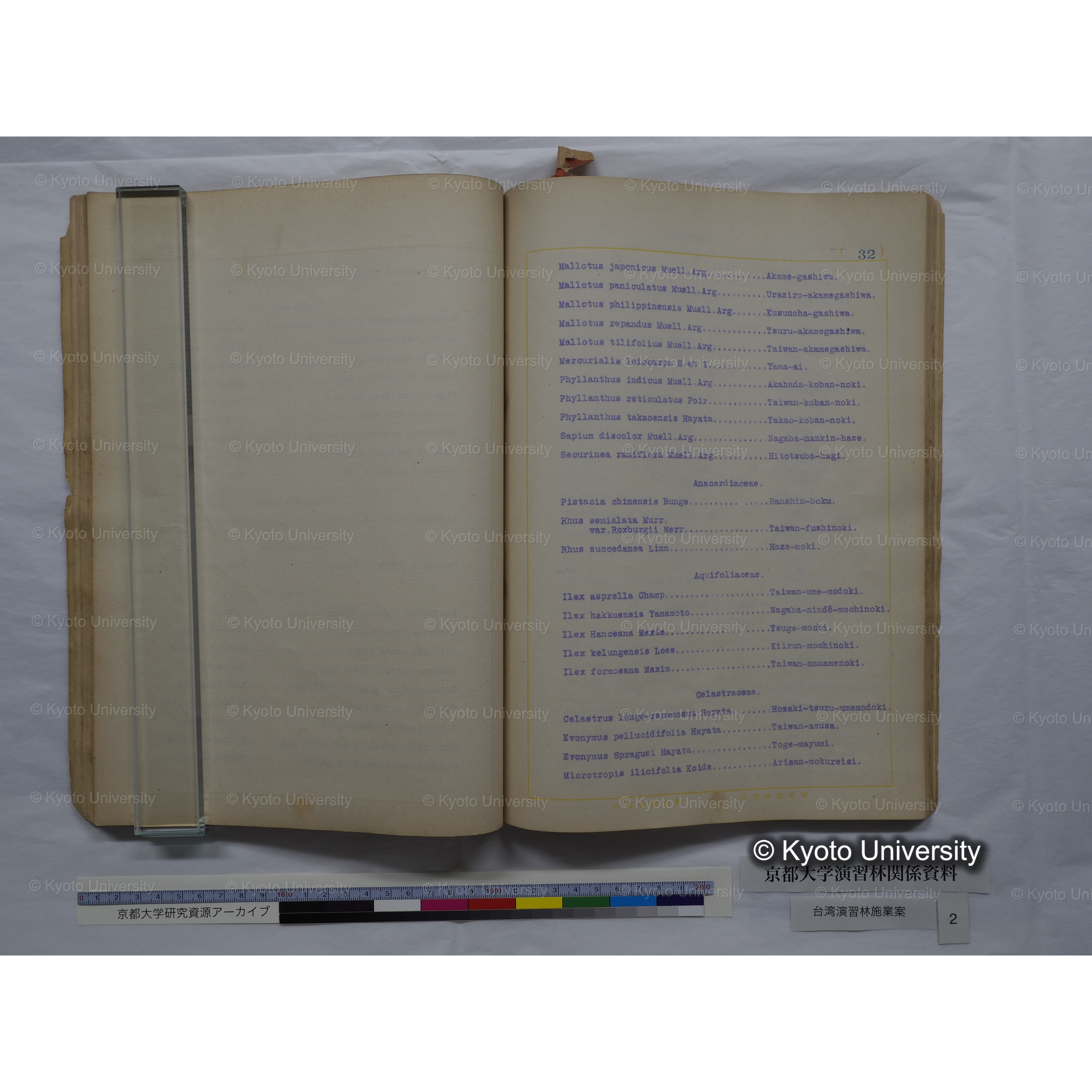 台湾演習林　施業案　実行期間＜自昭和 6年／至昭和12年＞　昭和六年四月編成. (131)