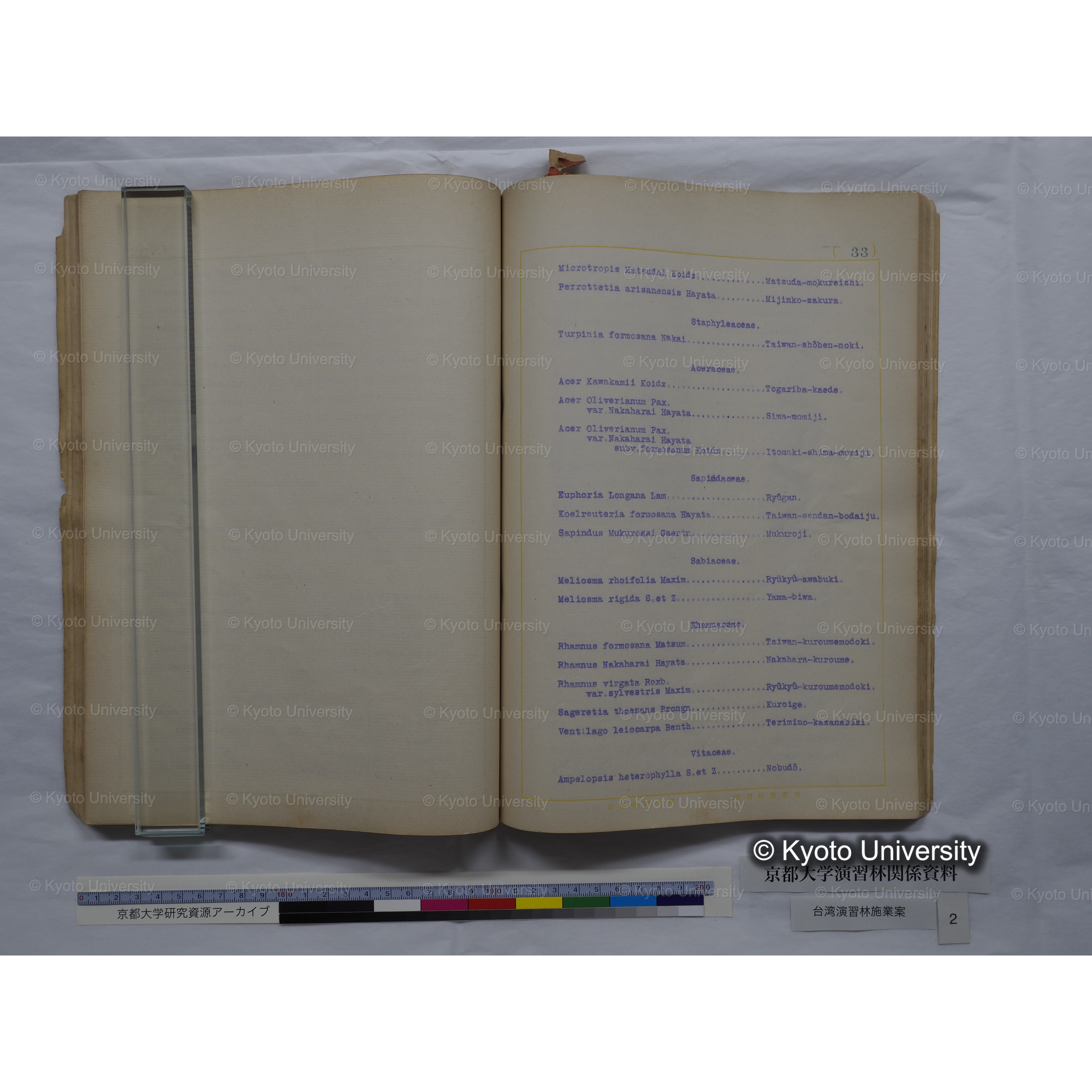 台湾演習林　施業案　実行期間＜自昭和 6年／至昭和12年＞　昭和六年四月編成. (132)