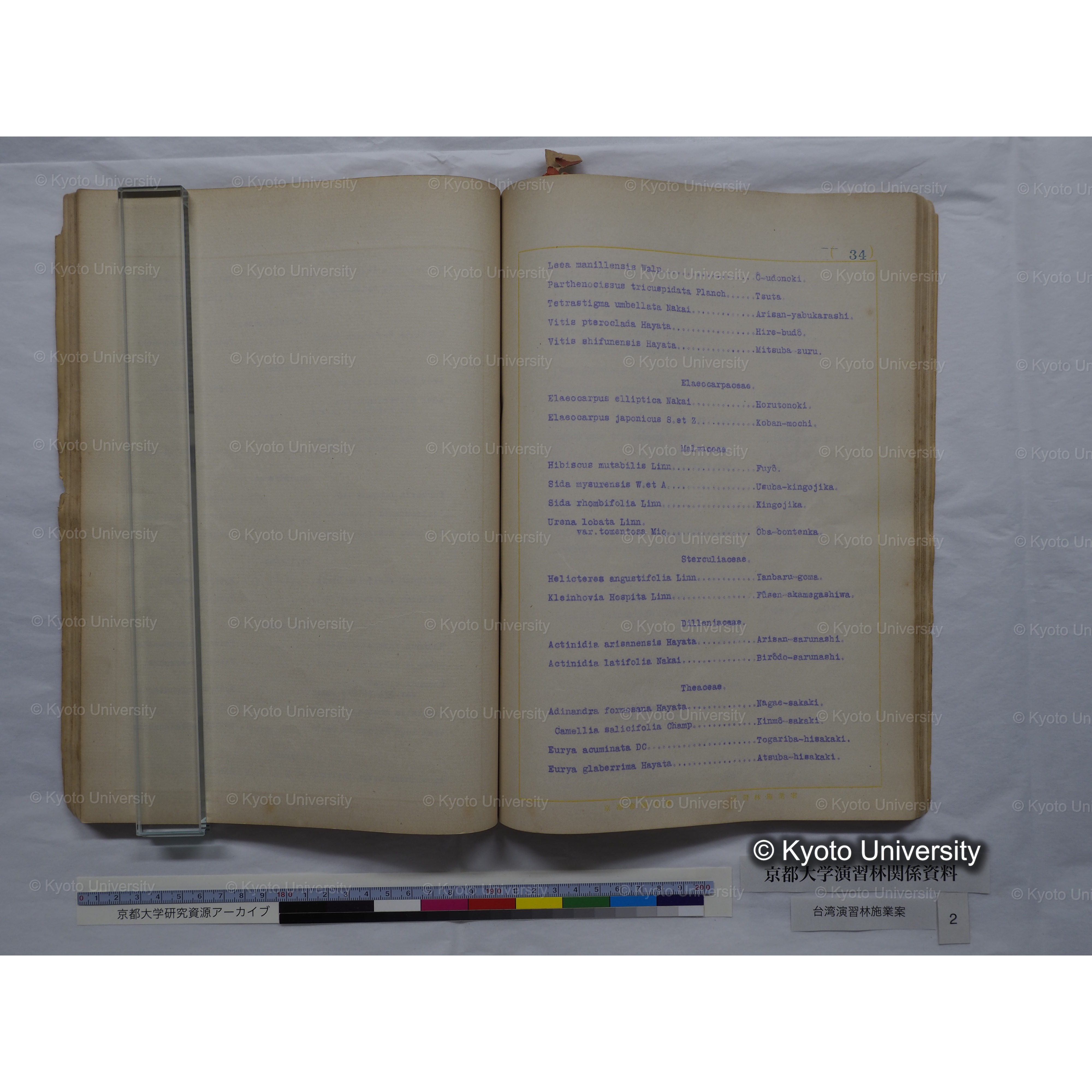 台湾演習林　施業案　実行期間＜自昭和 6年／至昭和12年＞　昭和六年四月編成. (133)