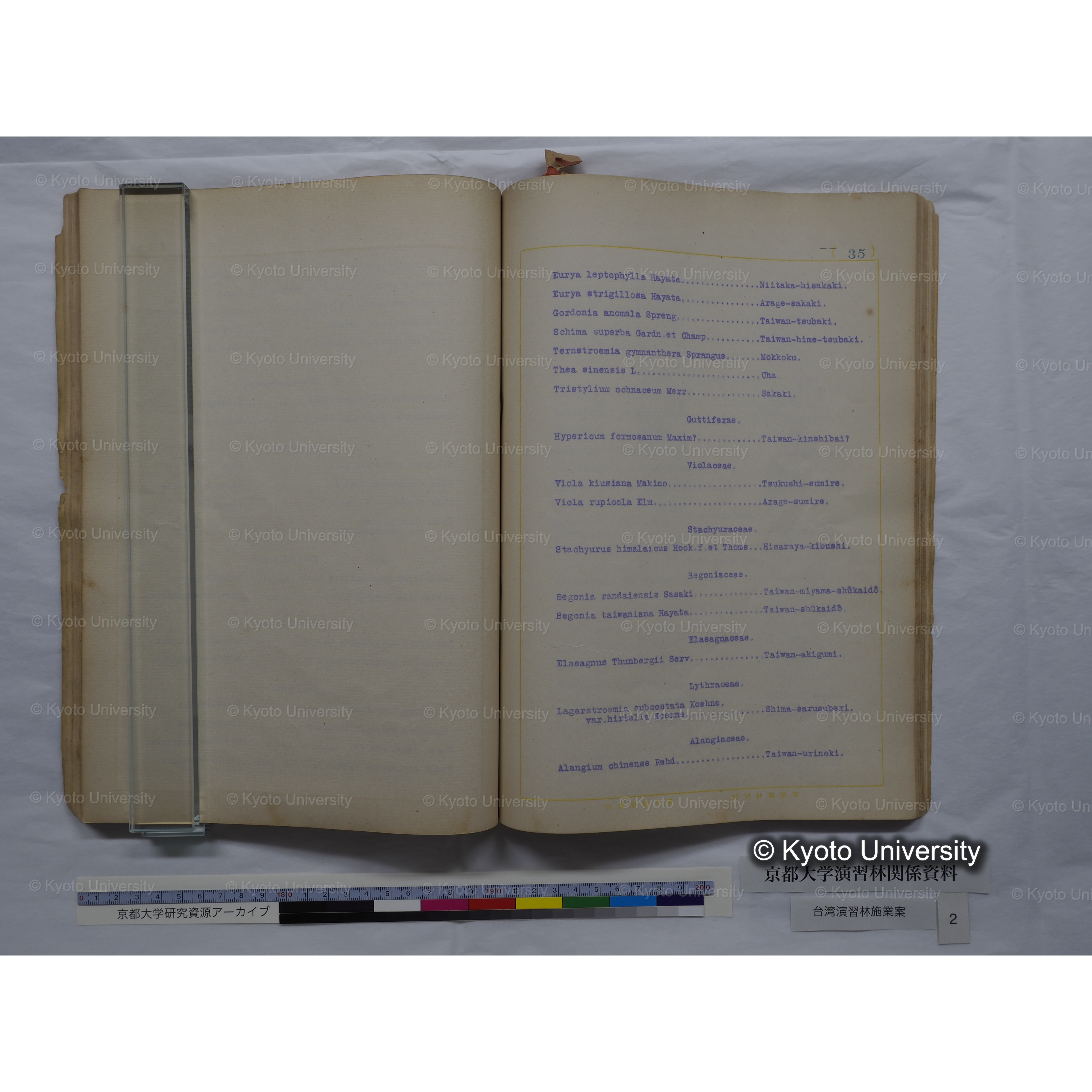 台湾演習林　施業案　実行期間＜自昭和 6年／至昭和12年＞　昭和六年四月編成. (134)