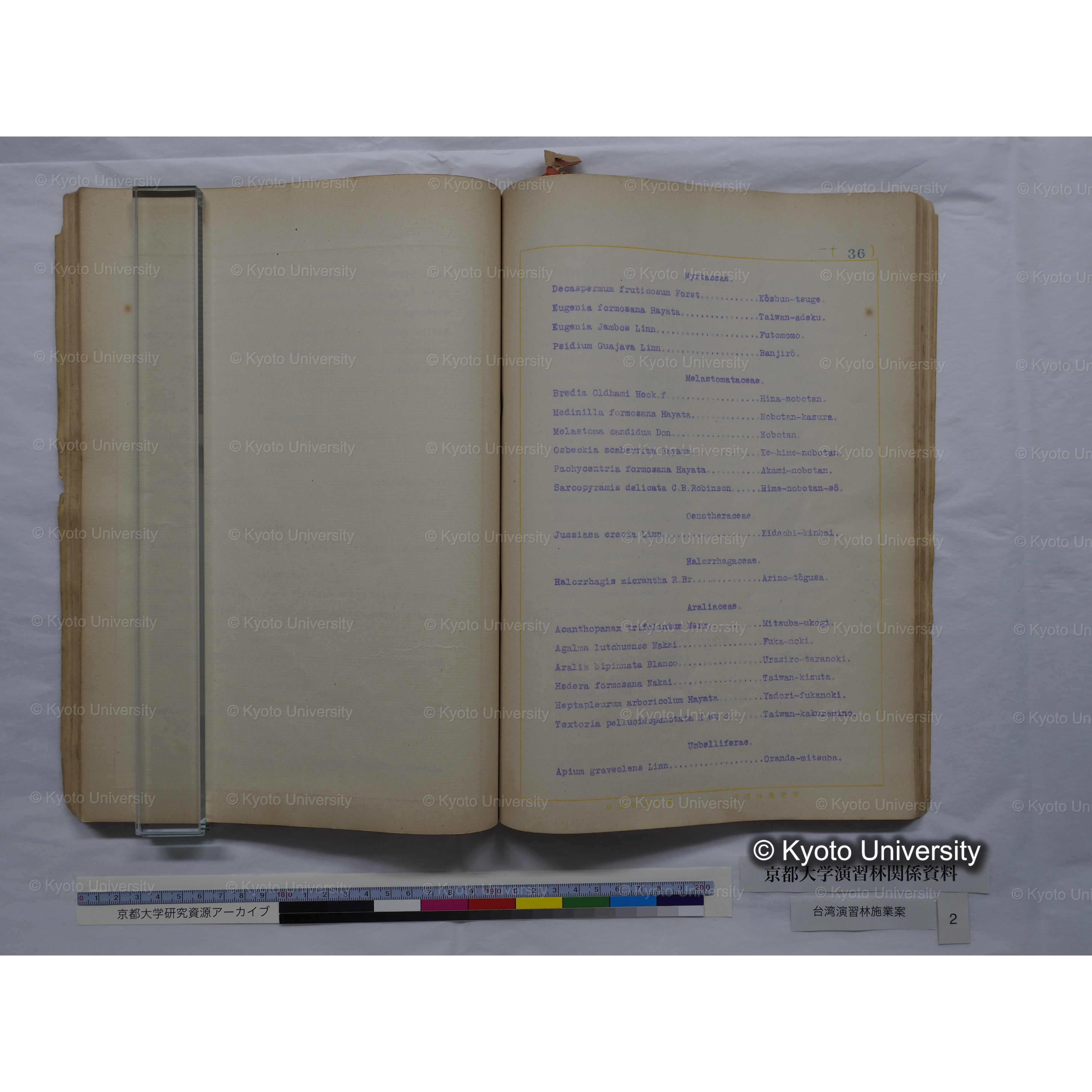 台湾演習林　施業案　実行期間＜自昭和 6年／至昭和12年＞　昭和六年四月編成. (135)