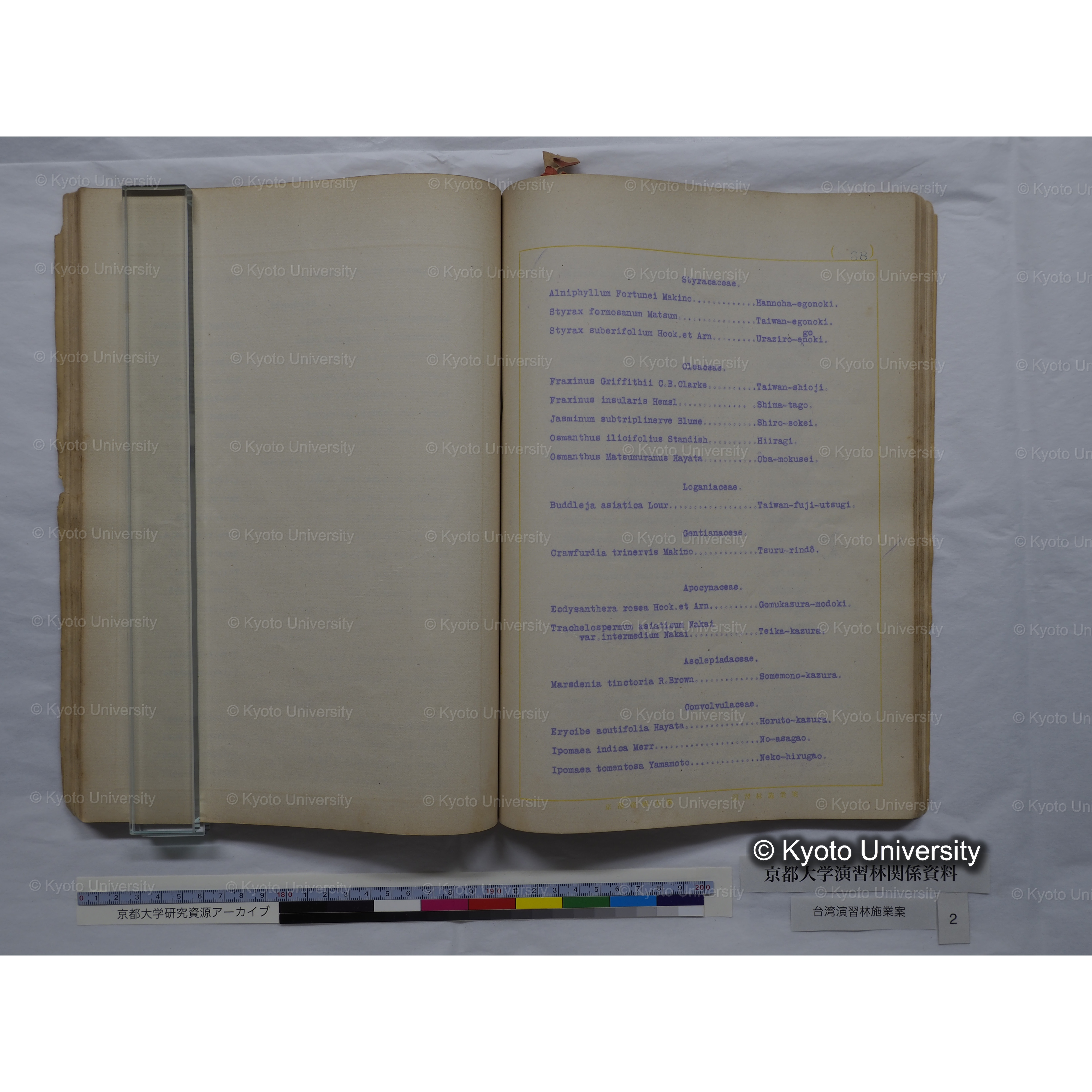 台湾演習林　施業案　実行期間＜自昭和 6年／至昭和12年＞　昭和六年四月編成. (137)