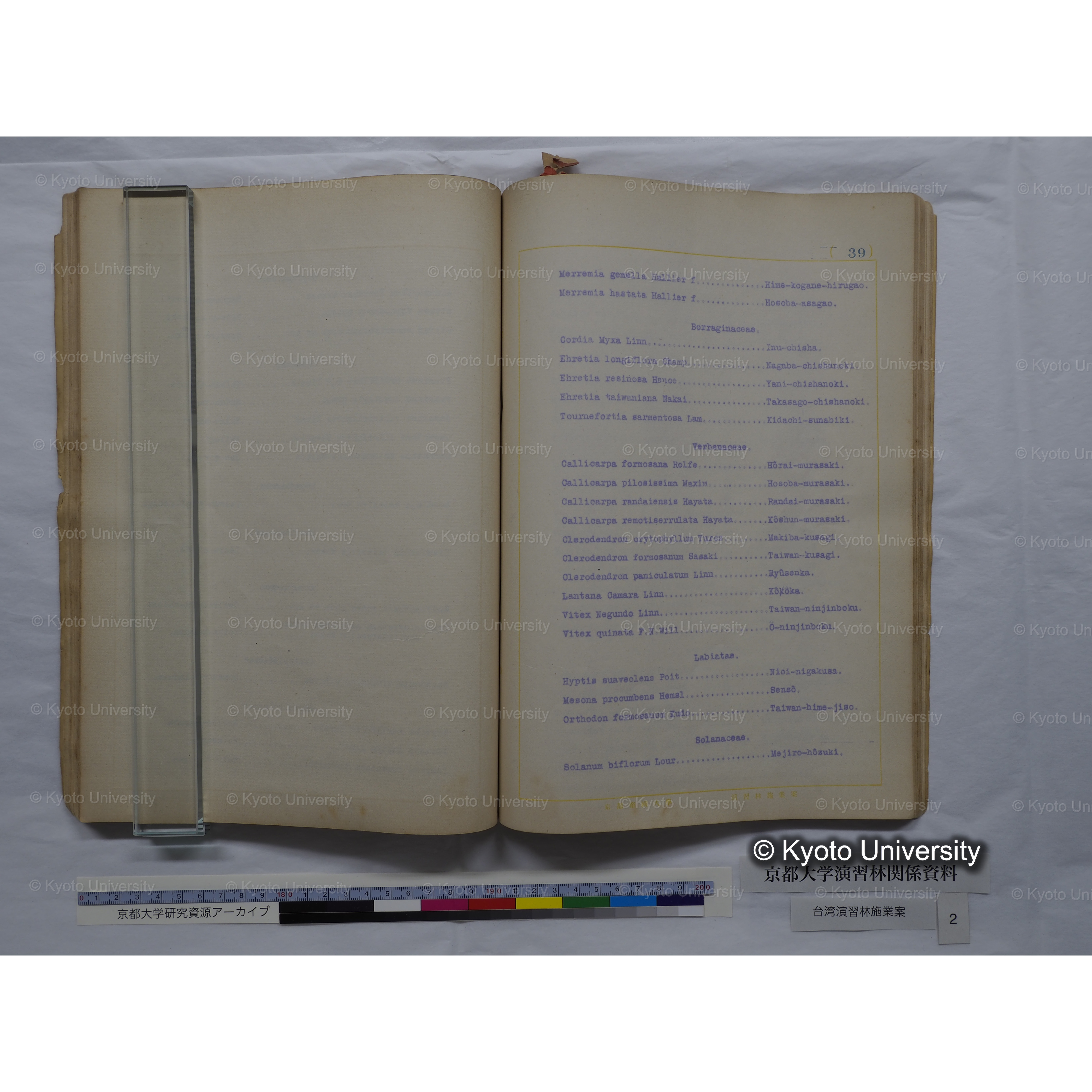 台湾演習林　施業案　実行期間＜自昭和 6年／至昭和12年＞　昭和六年四月編成. (138)