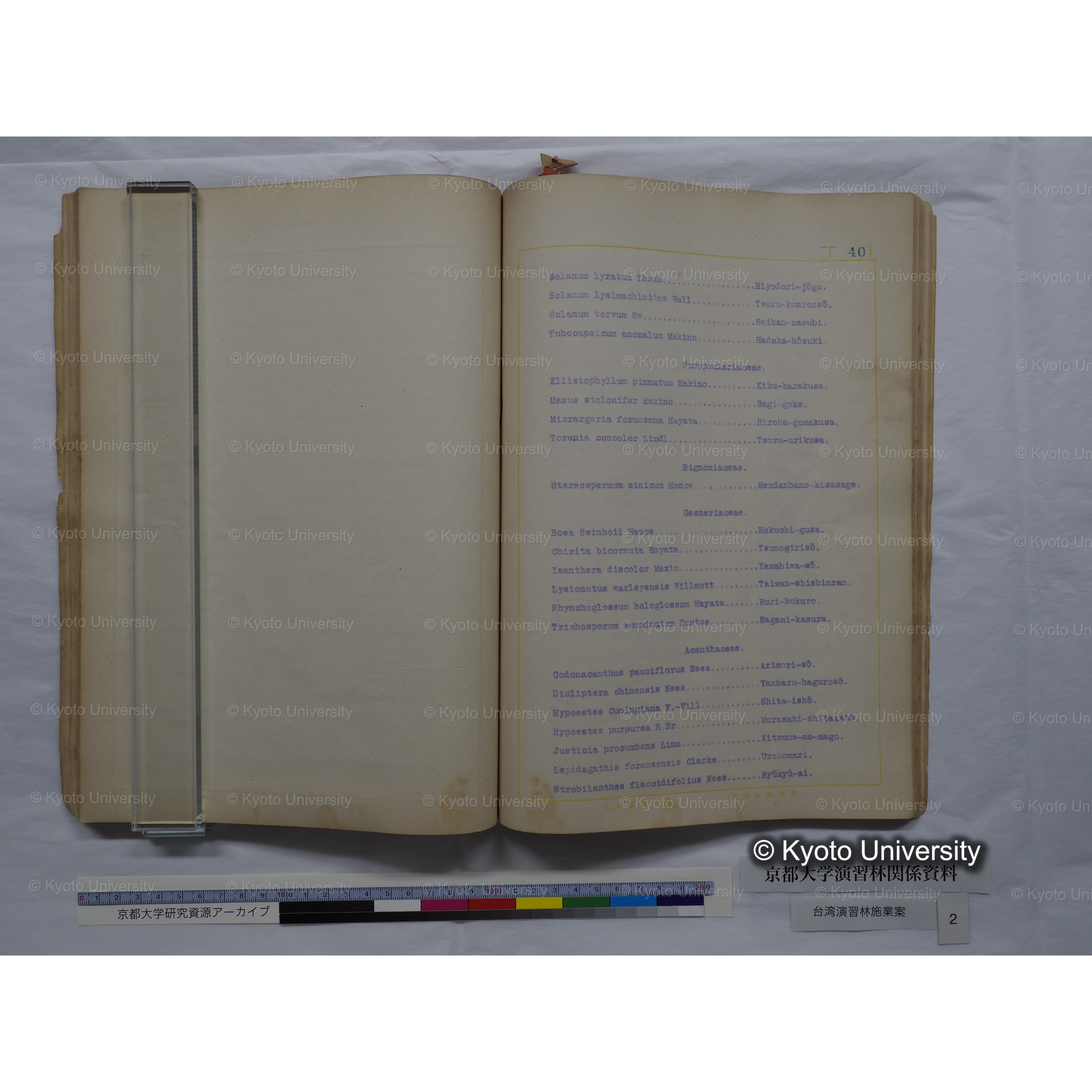 台湾演習林　施業案　実行期間＜自昭和 6年／至昭和12年＞　昭和六年四月編成. (139)