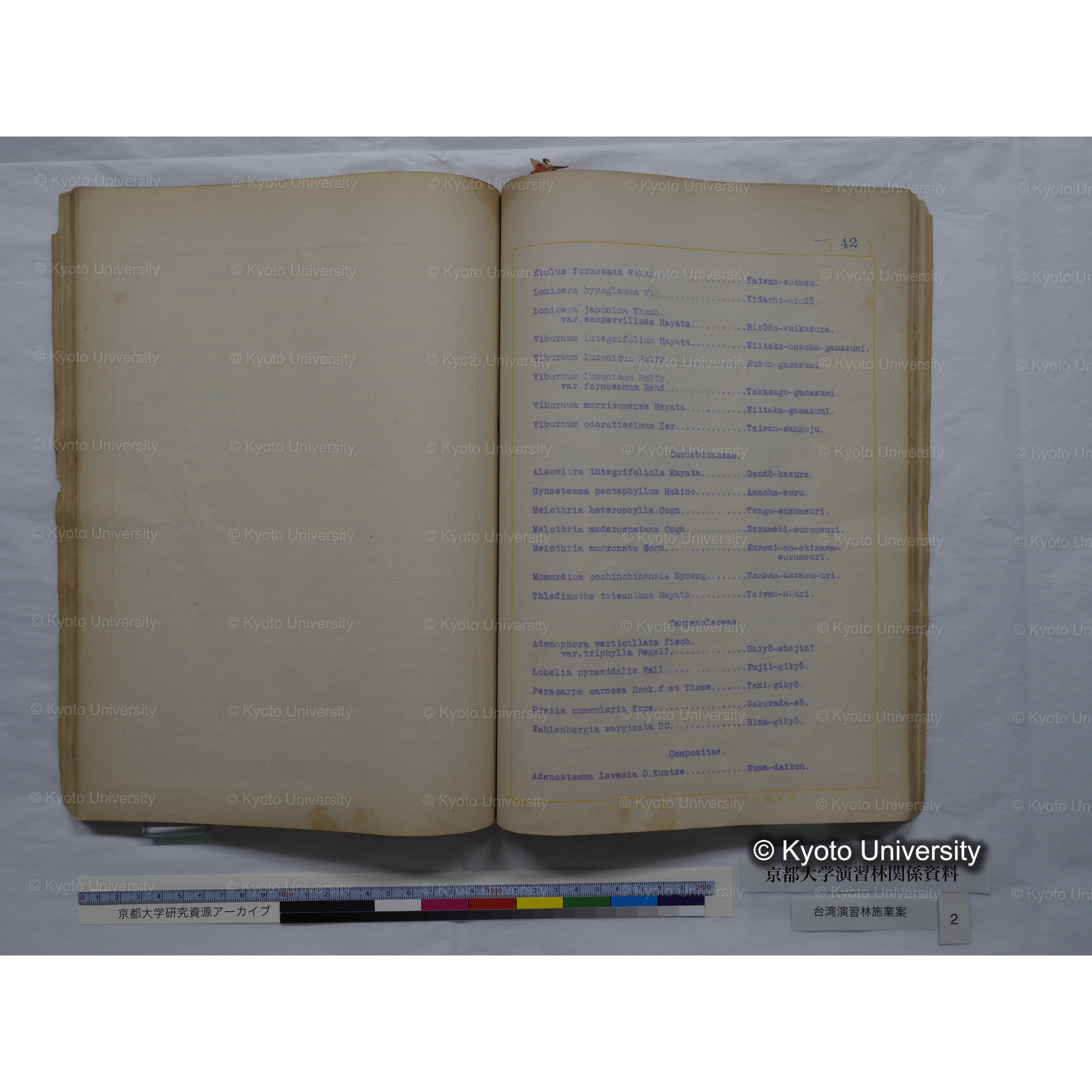 台湾演習林　施業案　実行期間＜自昭和 6年／至昭和12年＞　昭和六年四月編成. (141)