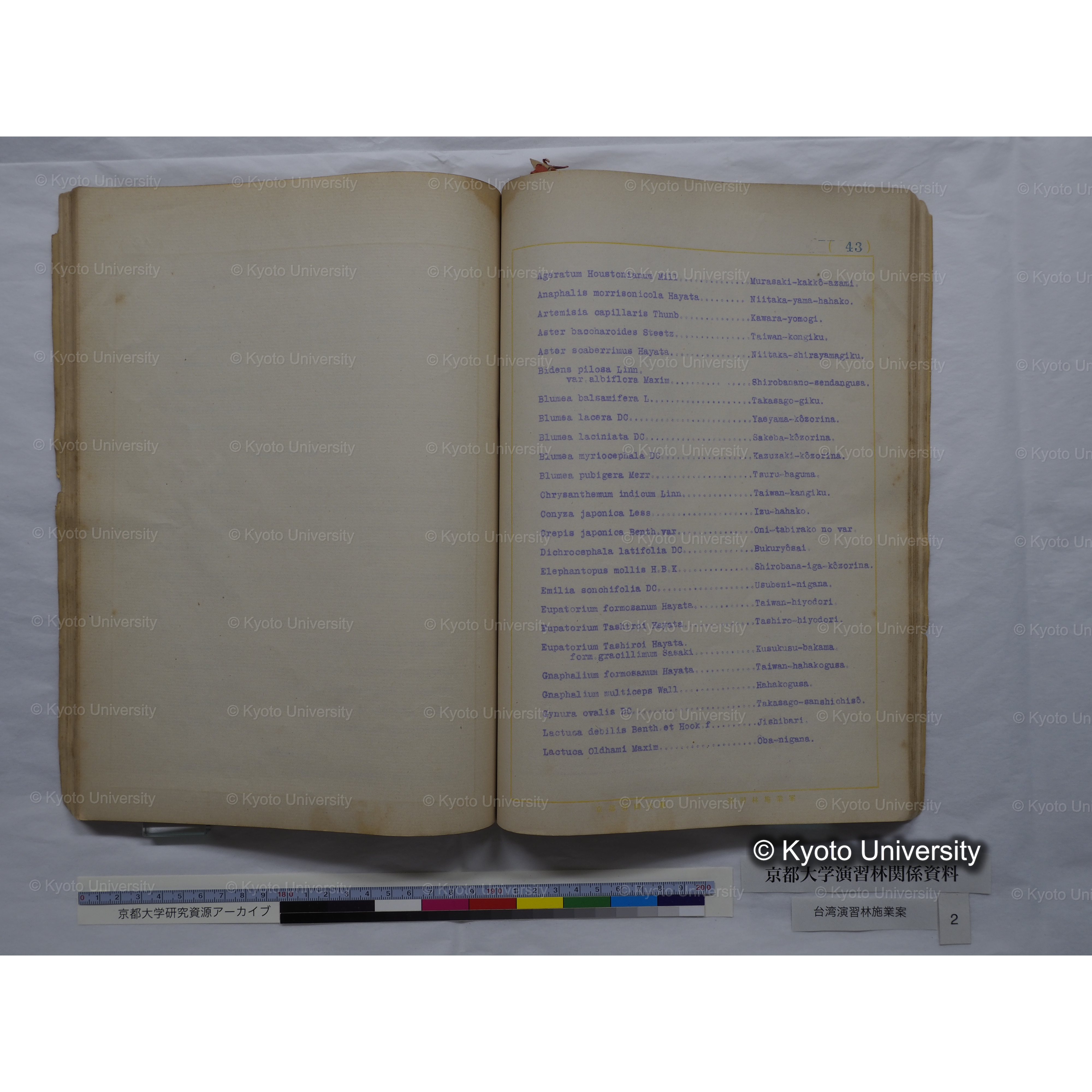 台湾演習林　施業案　実行期間＜自昭和 6年／至昭和12年＞　昭和六年四月編成. (142)