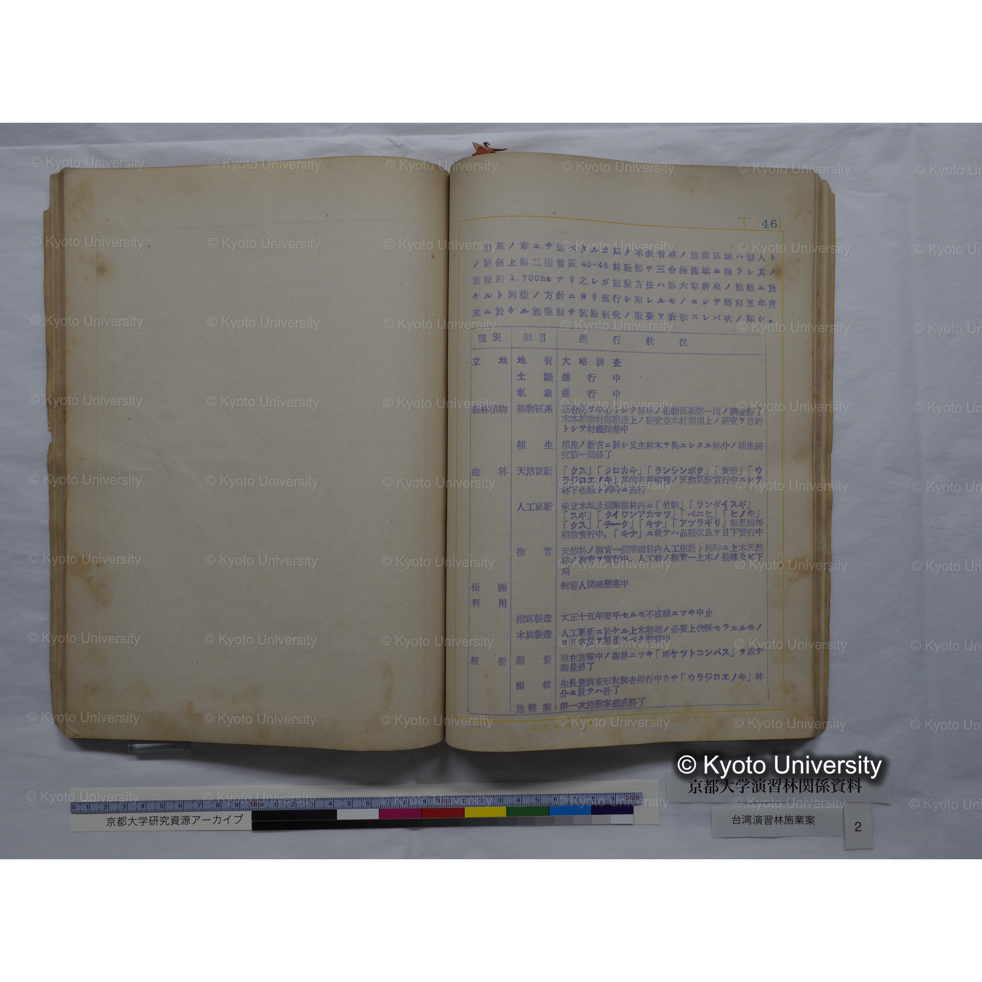 台湾演習林　施業案　実行期間＜自昭和 6年／至昭和12年＞　昭和六年四月編成. (145)