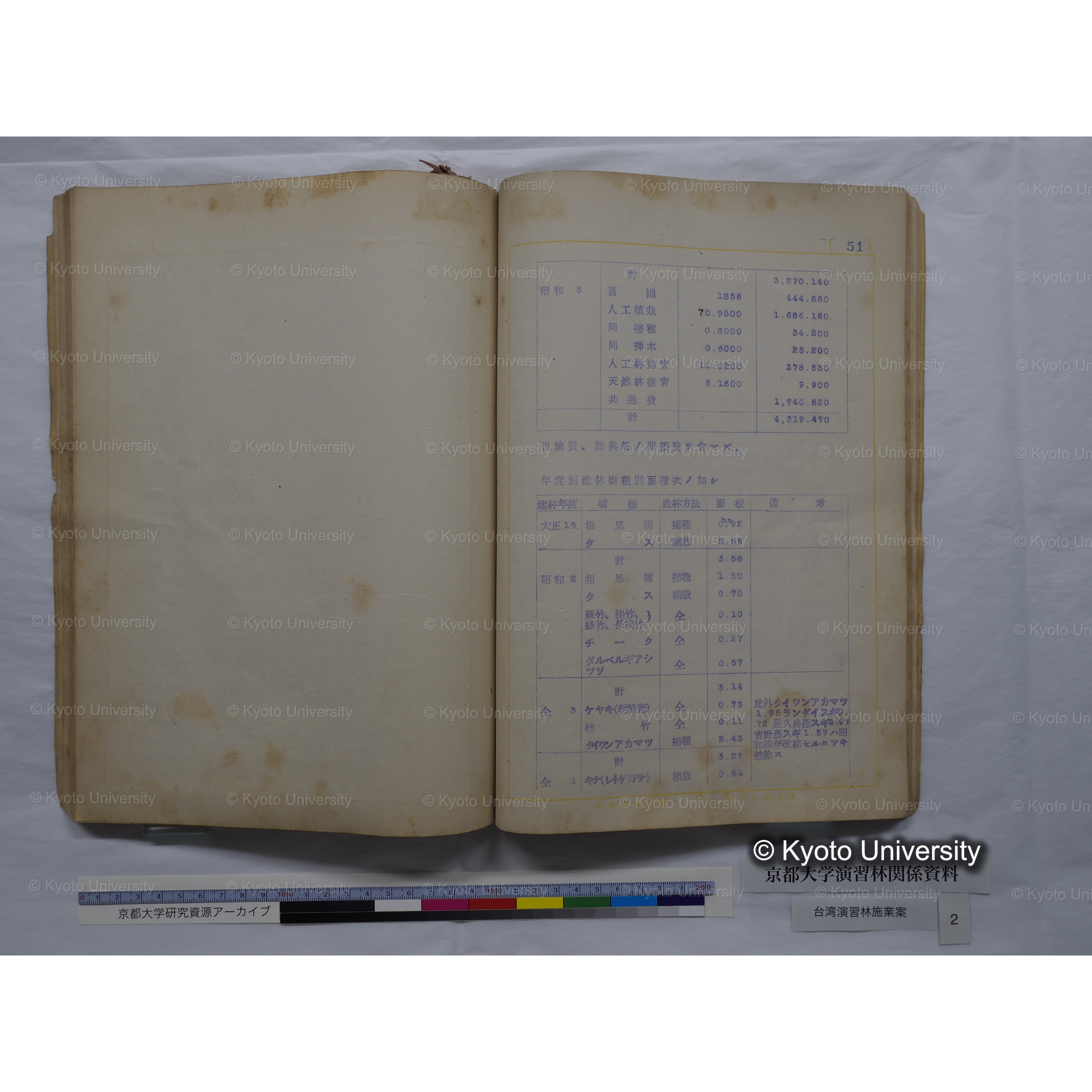 台湾演習林　施業案　実行期間＜自昭和 6年／至昭和12年＞　昭和六年四月編成. (150)