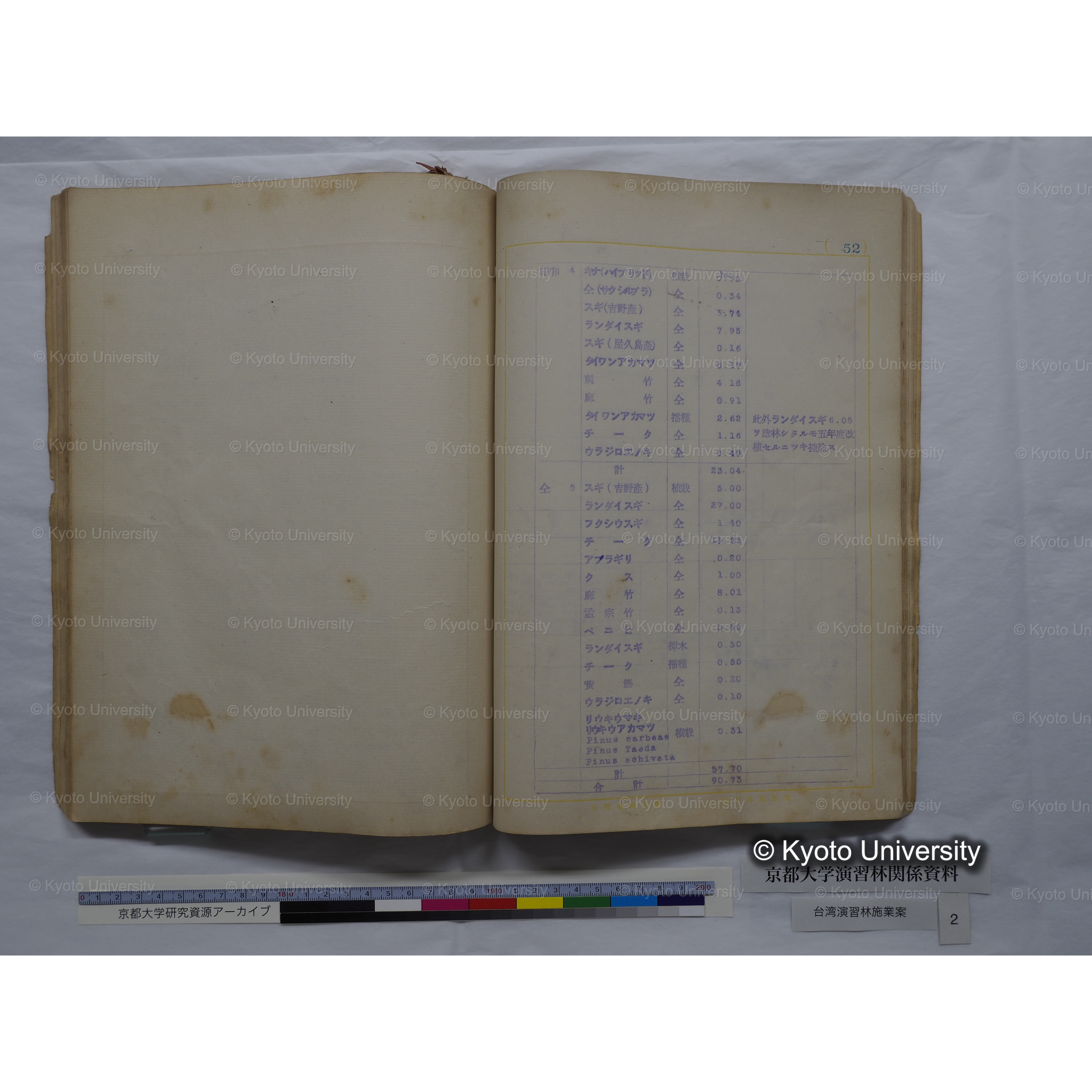 台湾演習林　施業案　実行期間＜自昭和 6年／至昭和12年＞　昭和六年四月編成. (151)