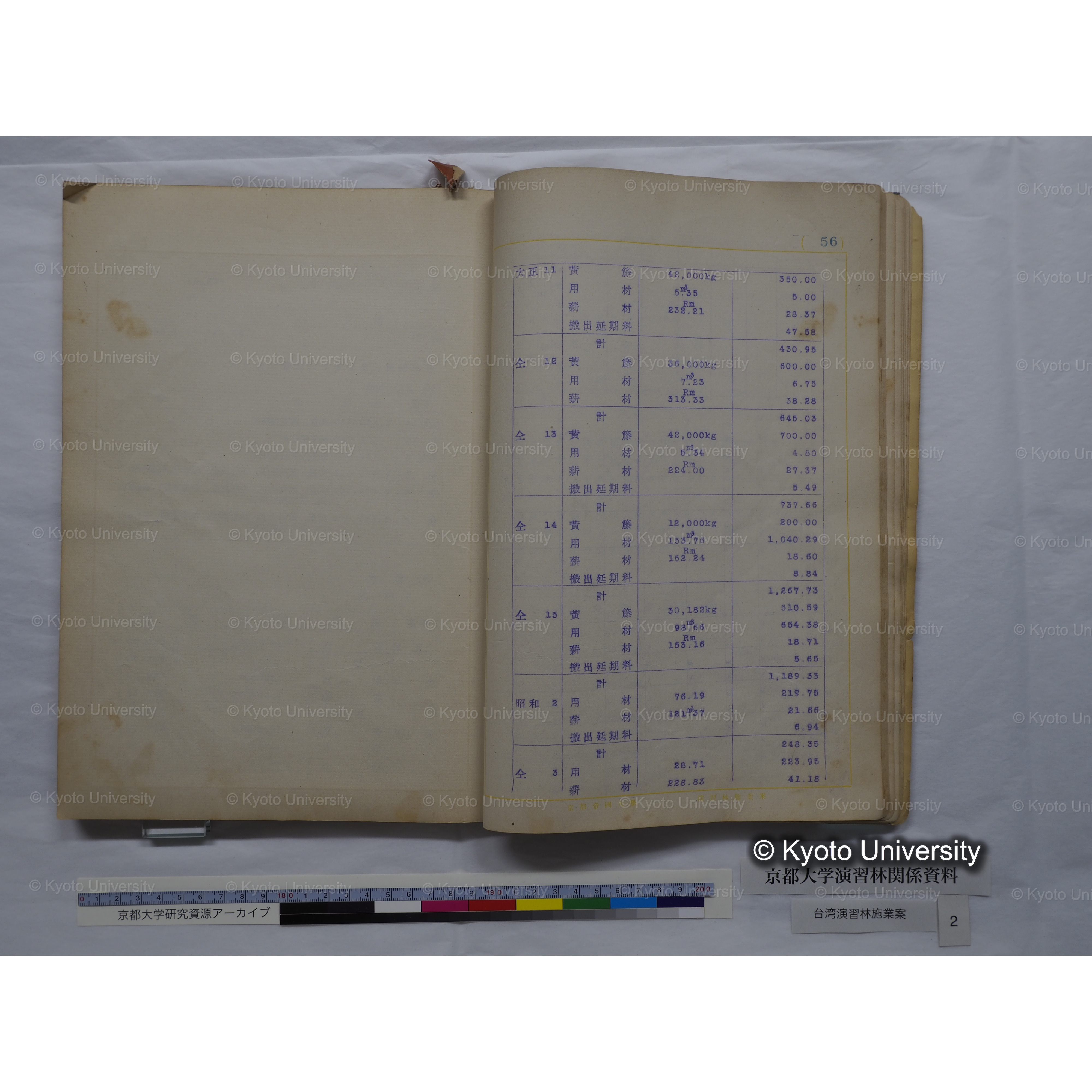 台湾演習林　施業案　実行期間＜自昭和 6年／至昭和12年＞　昭和六年四月編成. (155)