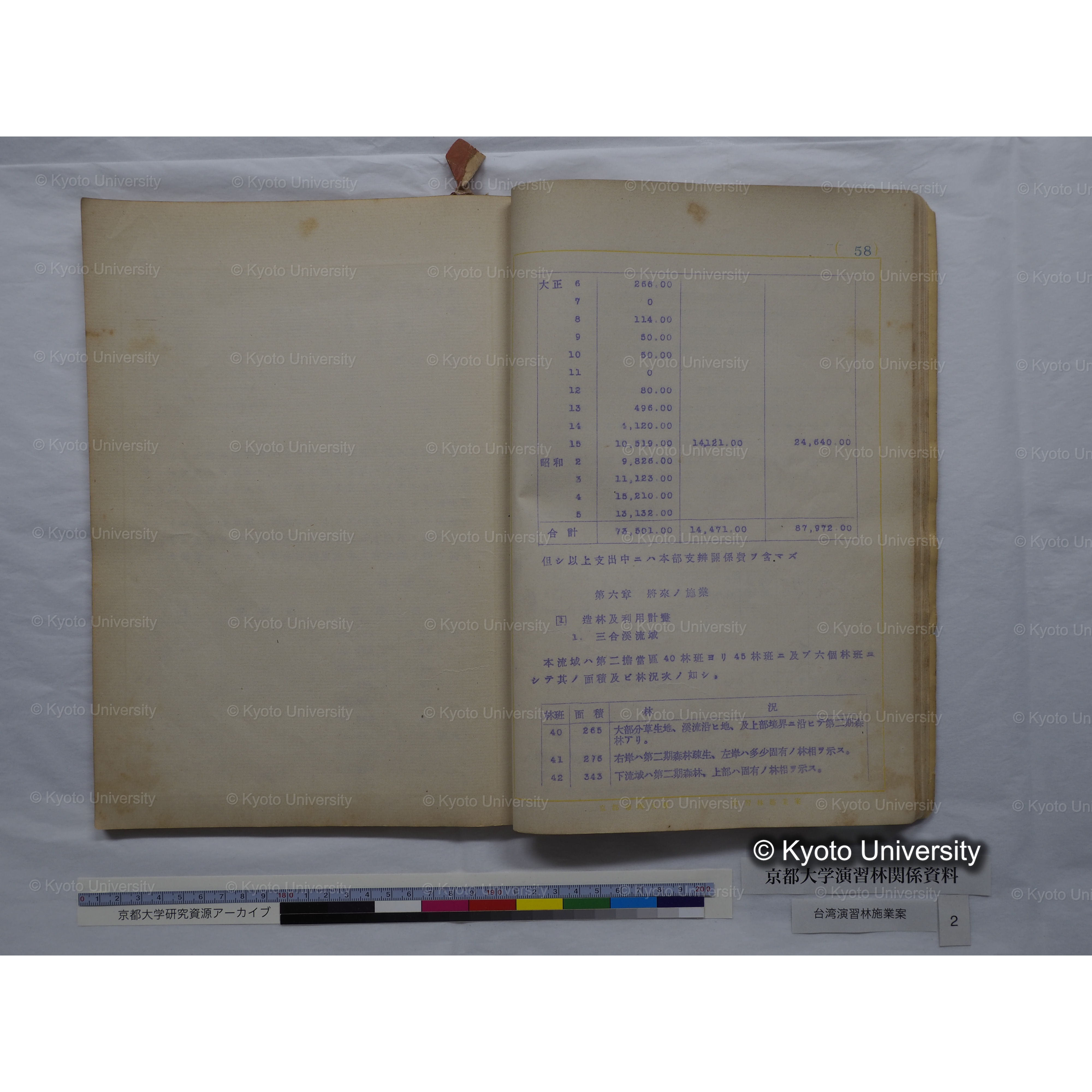 台湾演習林　施業案　実行期間＜自昭和 6年／至昭和12年＞　昭和六年四月編成. (157)