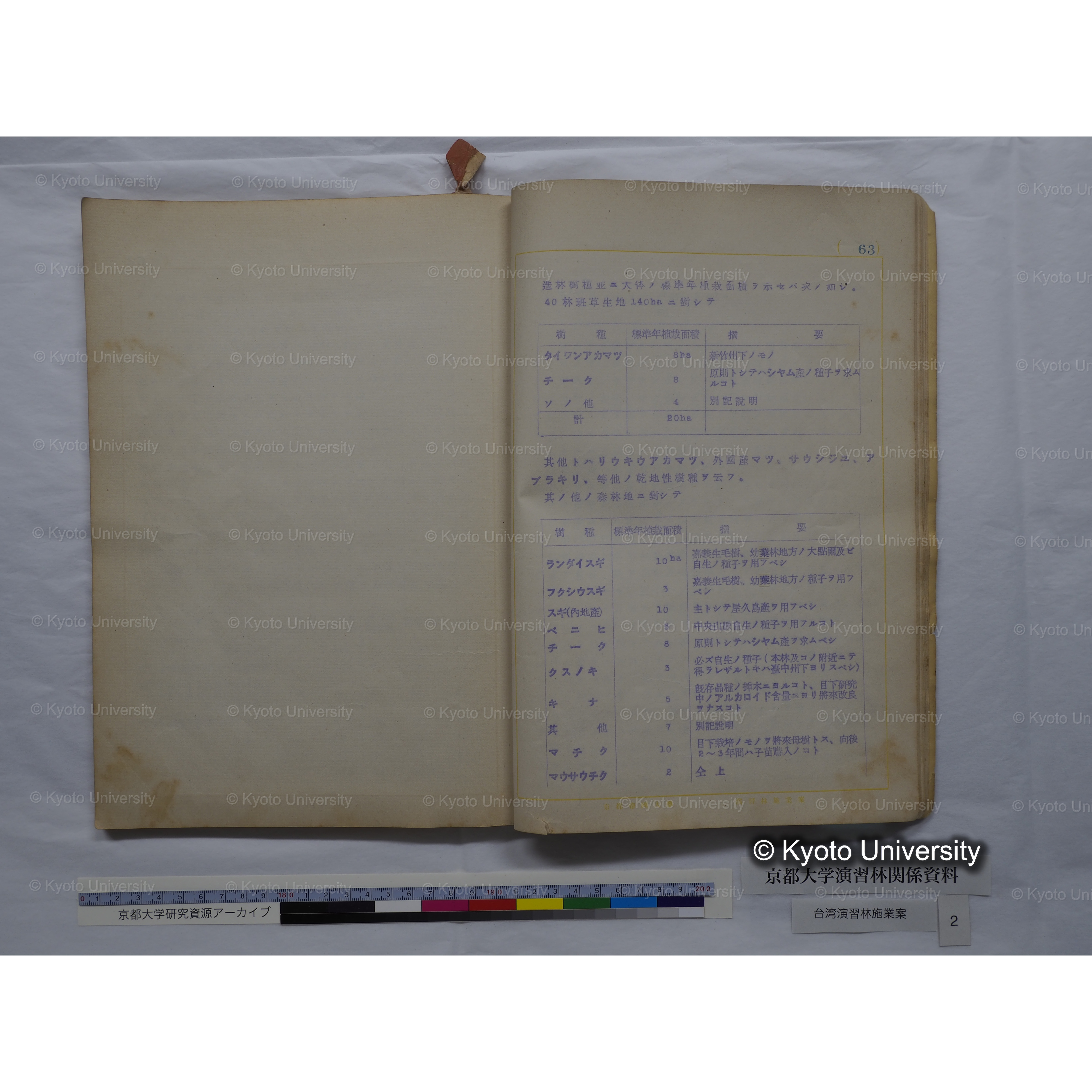 台湾演習林　施業案　実行期間＜自昭和 6年／至昭和12年＞　昭和六年四月編成. (162)