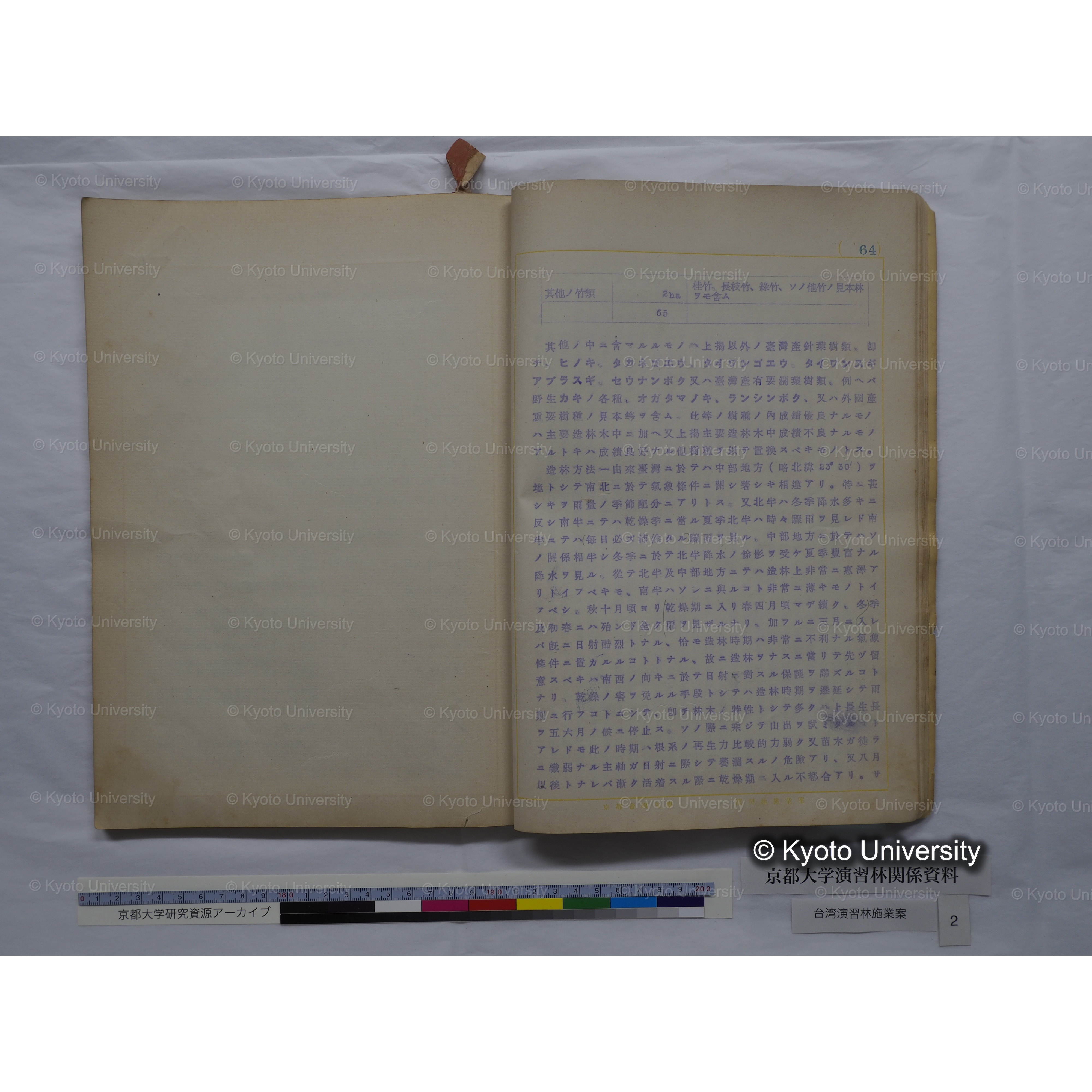 台湾演習林　施業案　実行期間＜自昭和 6年／至昭和12年＞　昭和六年四月編成. (163)