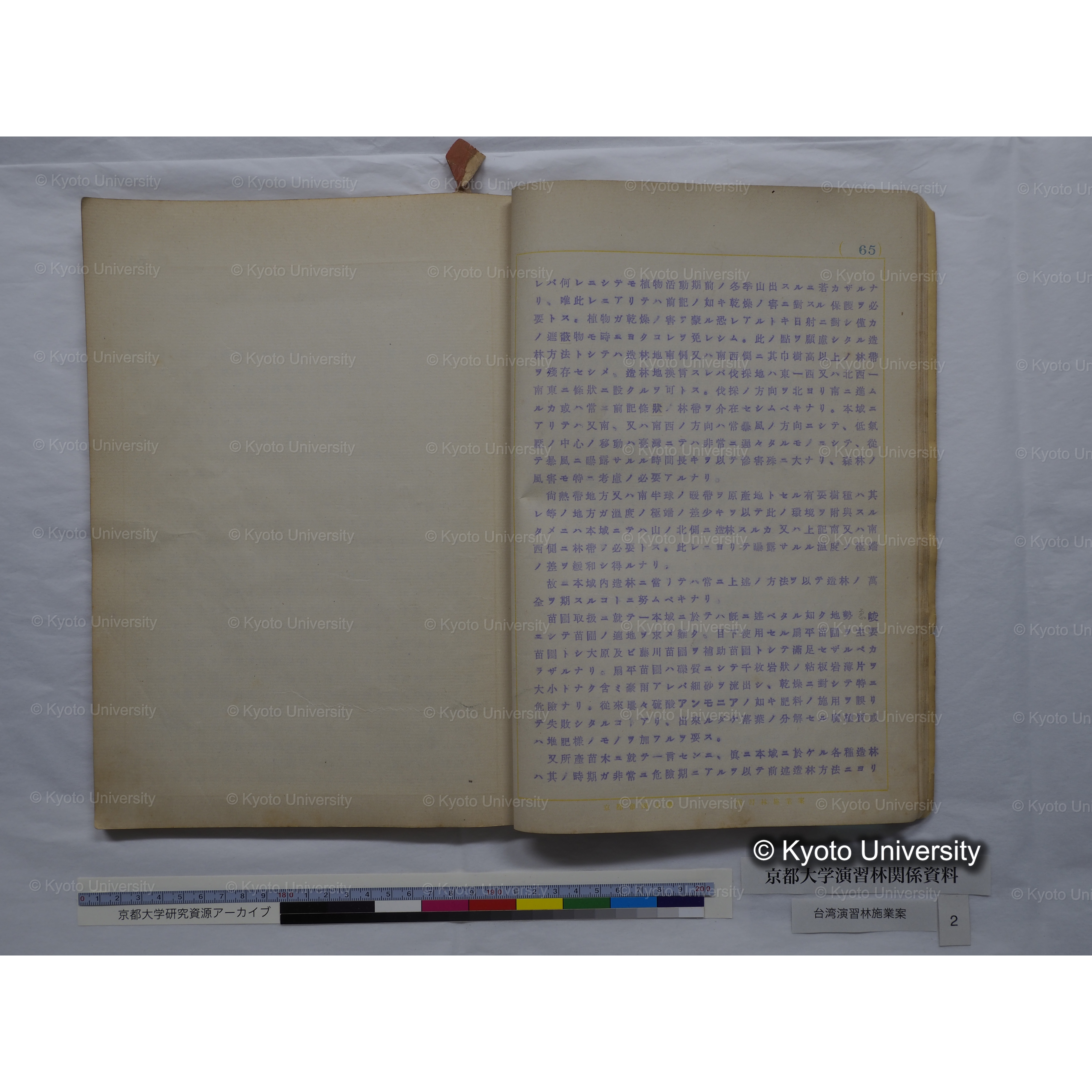 台湾演習林　施業案　実行期間＜自昭和 6年／至昭和12年＞　昭和六年四月編成. (164)