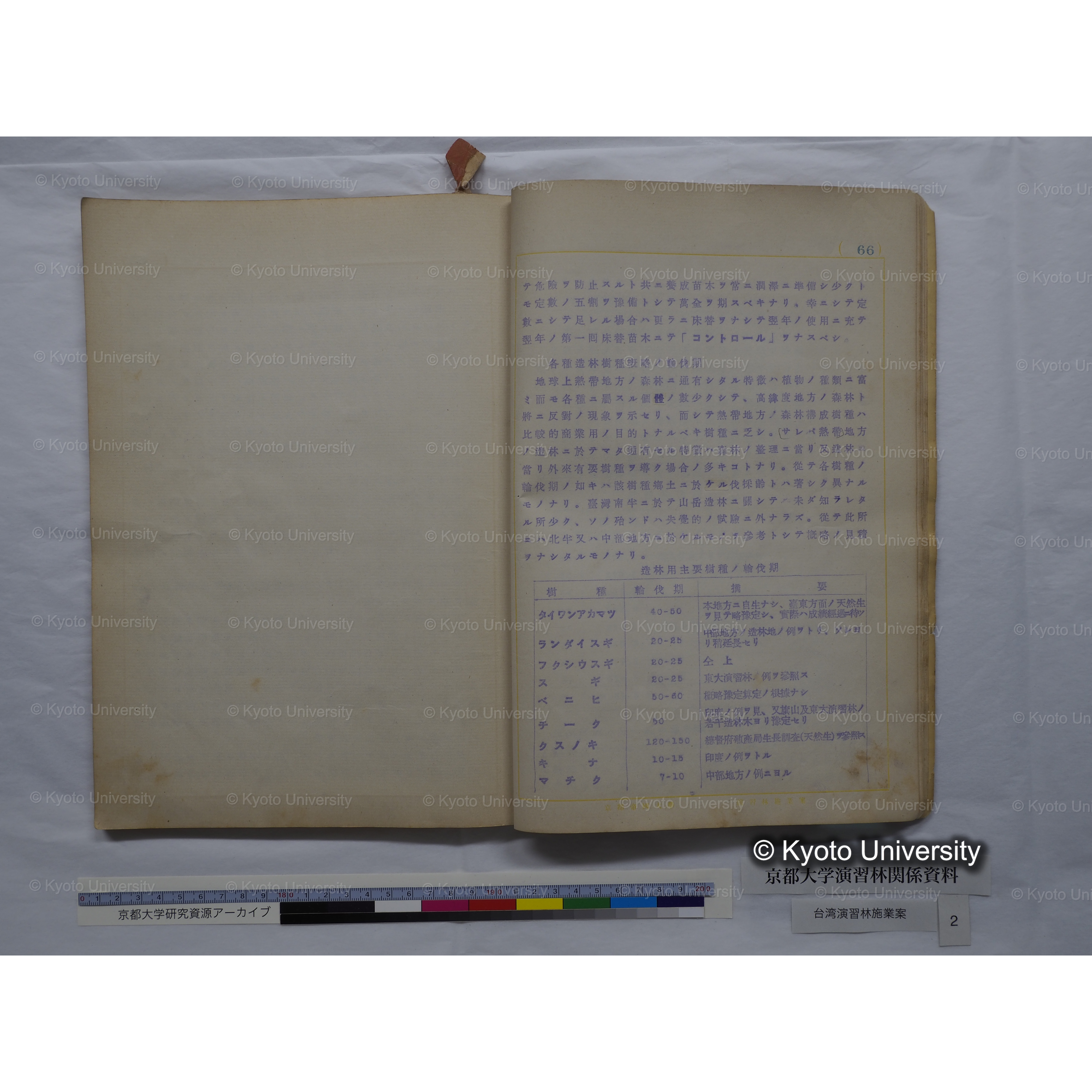 台湾演習林　施業案　実行期間＜自昭和 6年／至昭和12年＞　昭和六年四月編成. (165)