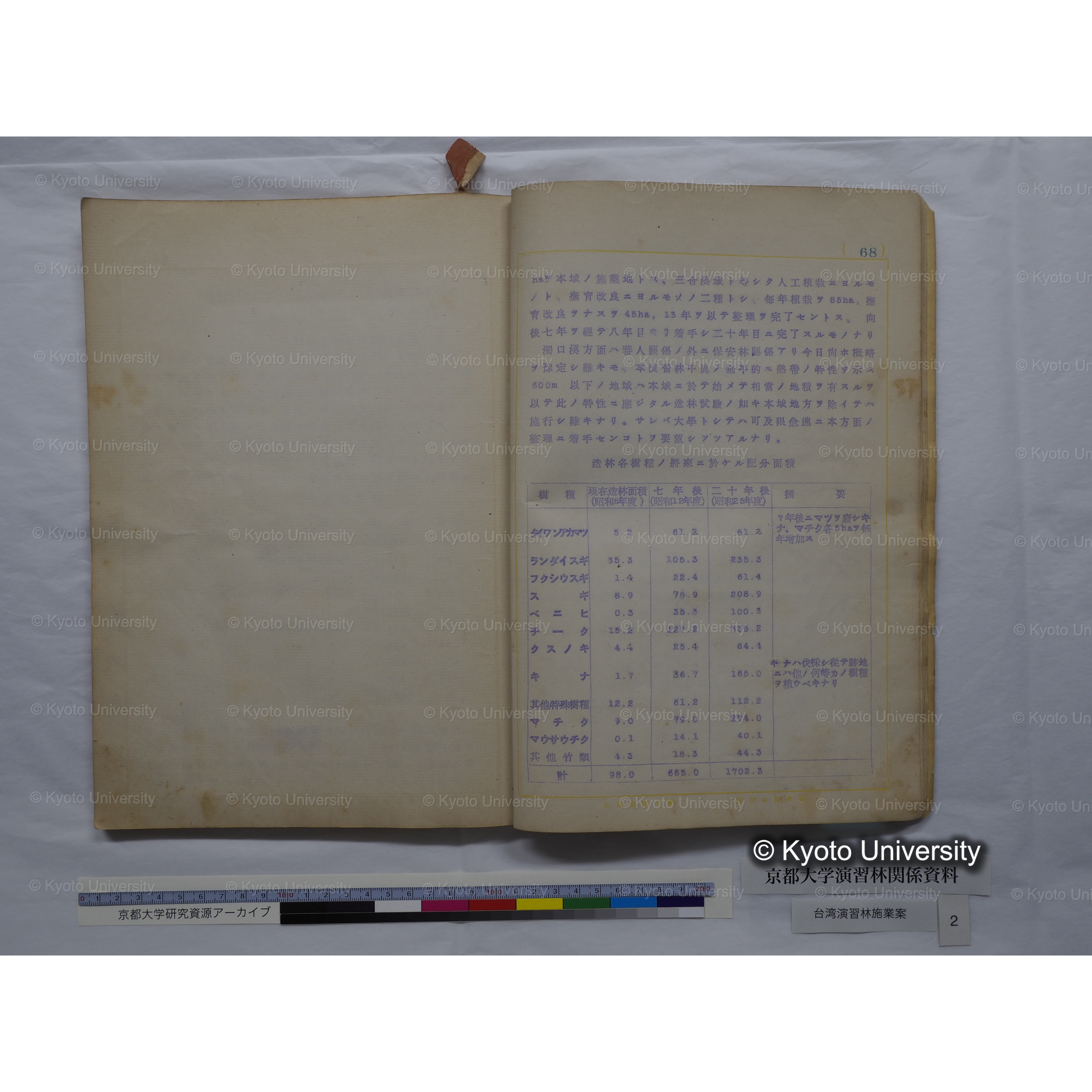 台湾演習林　施業案　実行期間＜自昭和 6年／至昭和12年＞　昭和六年四月編成. (167)