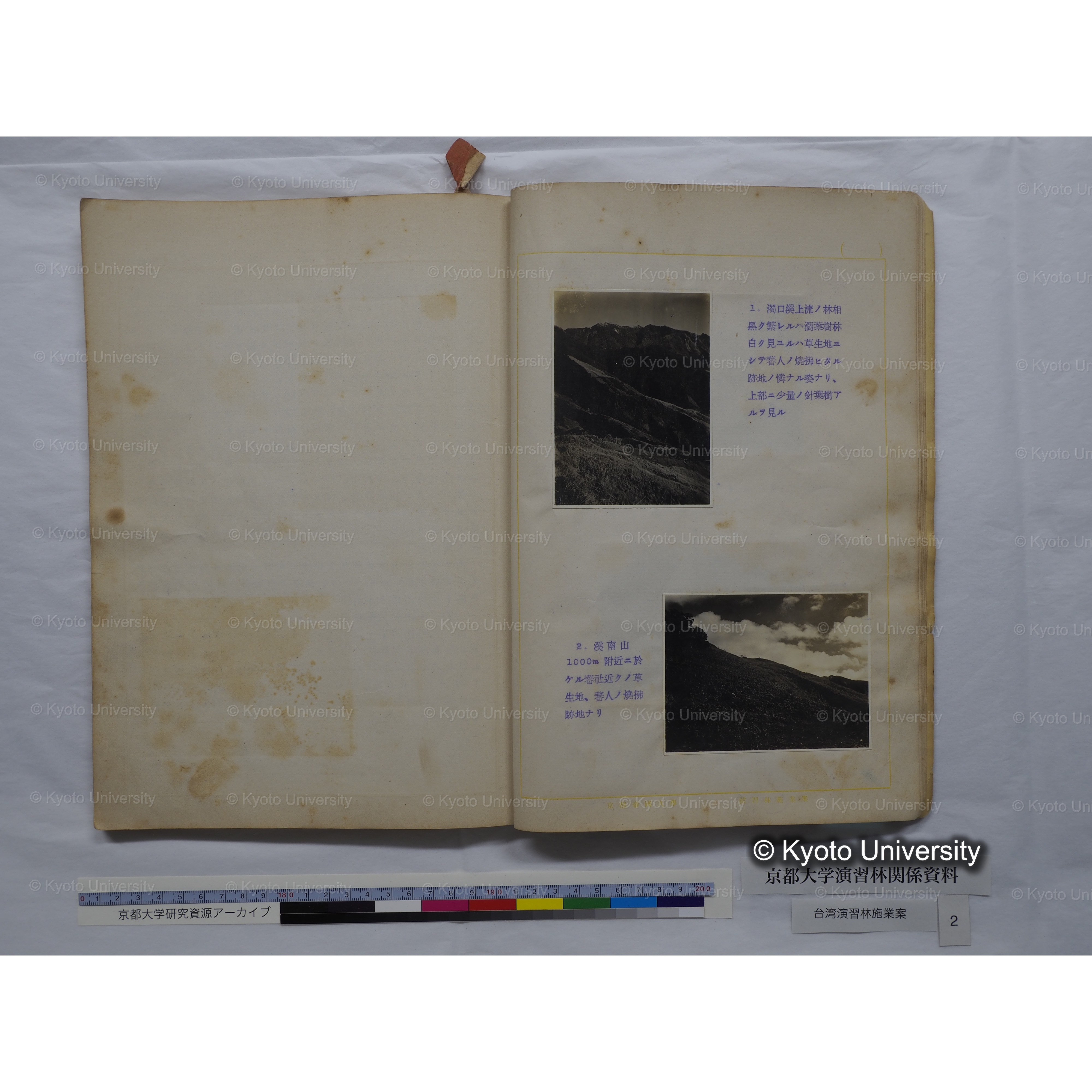 台湾演習林　施業案　実行期間＜自昭和 6年／至昭和12年＞　昭和六年四月編成. (169)