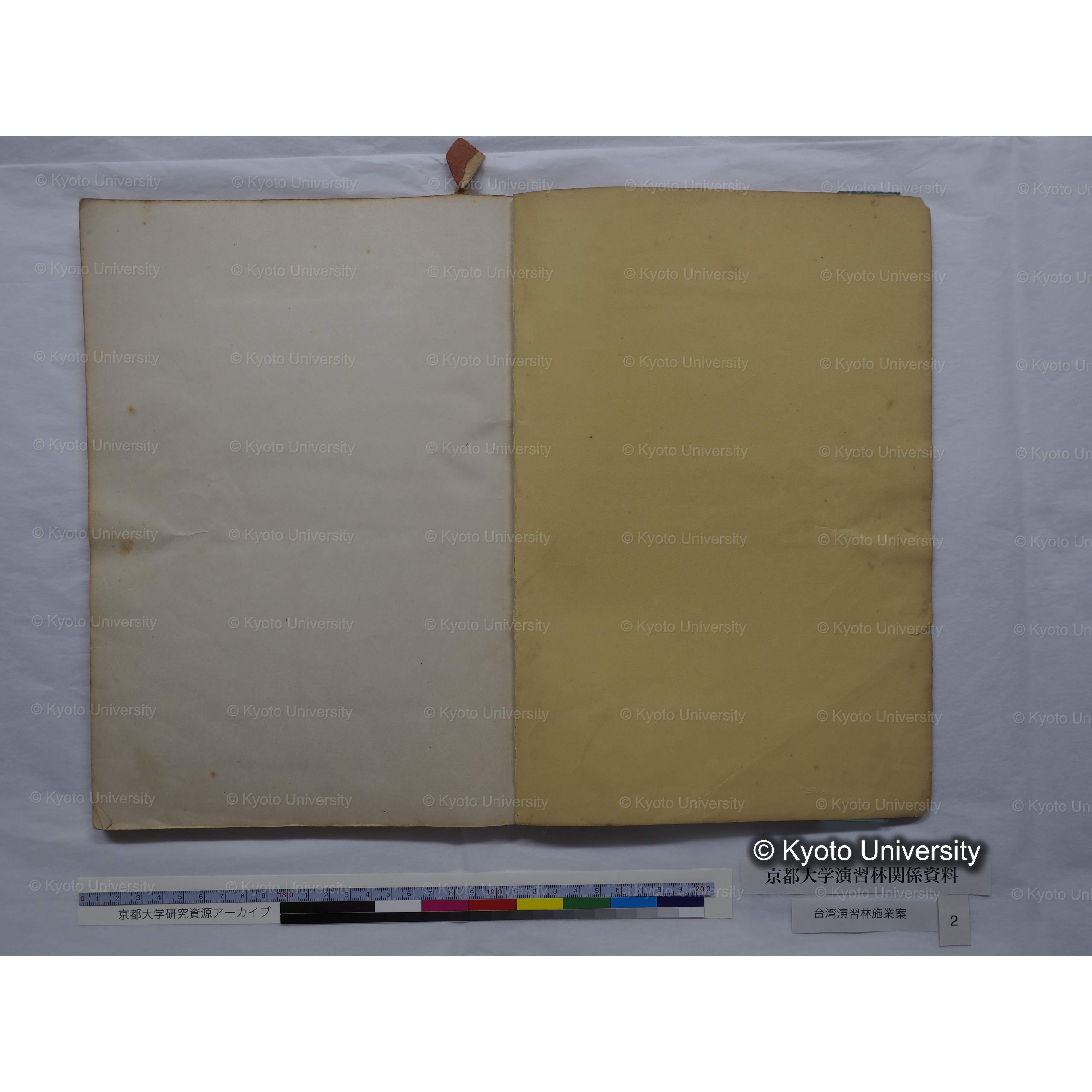 台湾演習林　施業案　実行期間＜自昭和 6年／至昭和12年＞　昭和六年四月編成. (177)