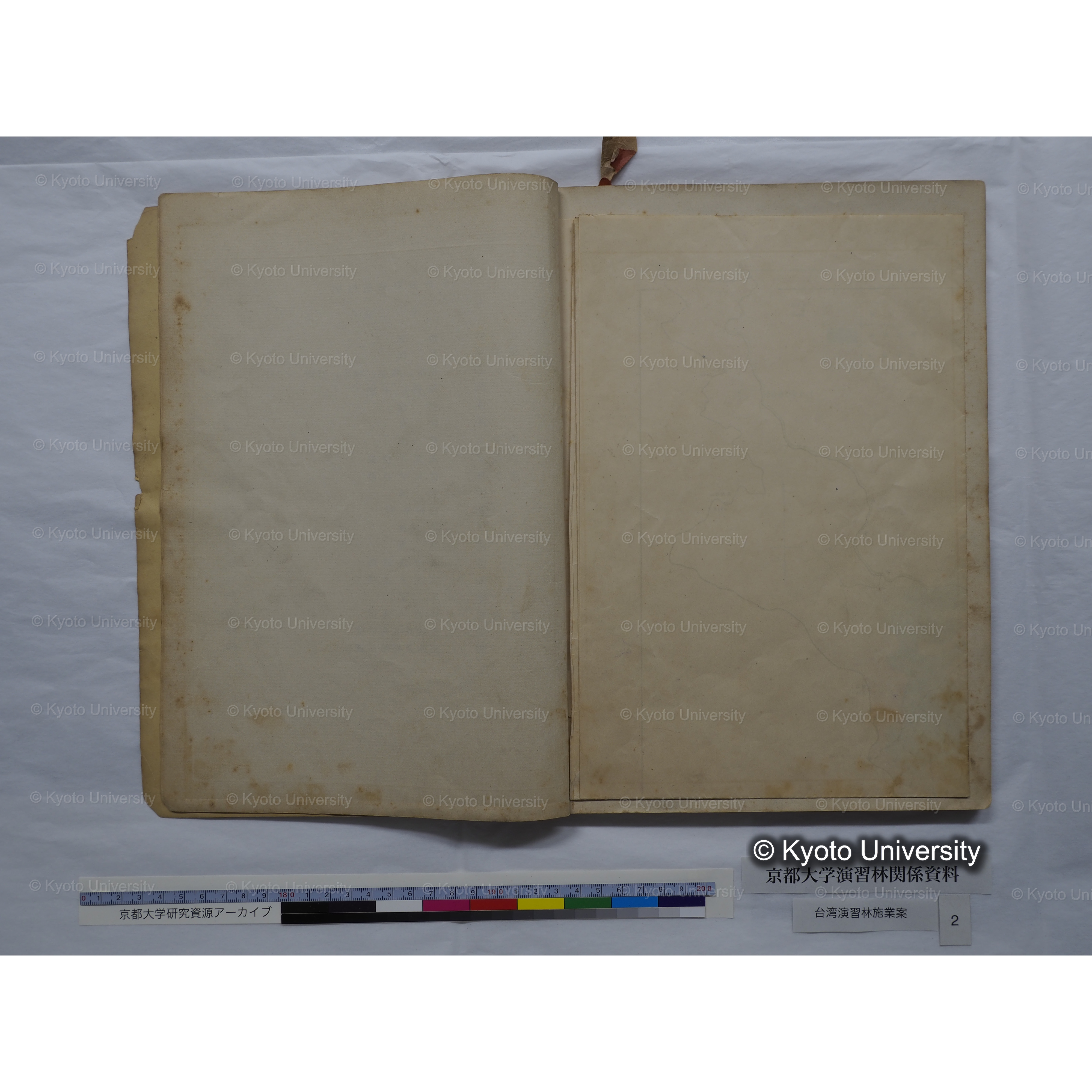 台湾演習林　施業案　実行期間＜自昭和 6年／至昭和12年＞　昭和六年四月編成. (180)