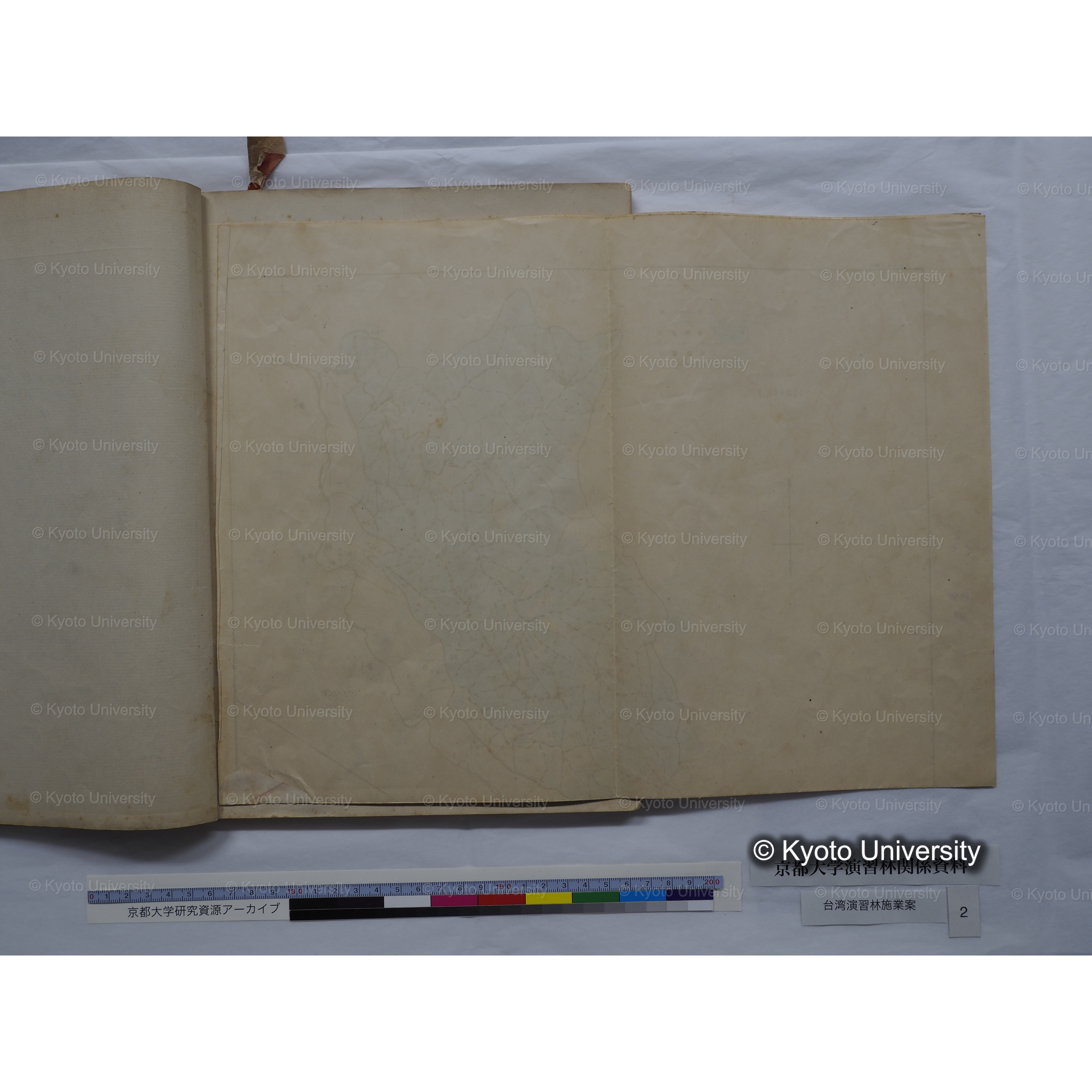 台湾演習林　施業案　実行期間＜自昭和 6年／至昭和12年＞　昭和六年四月編成. (181)