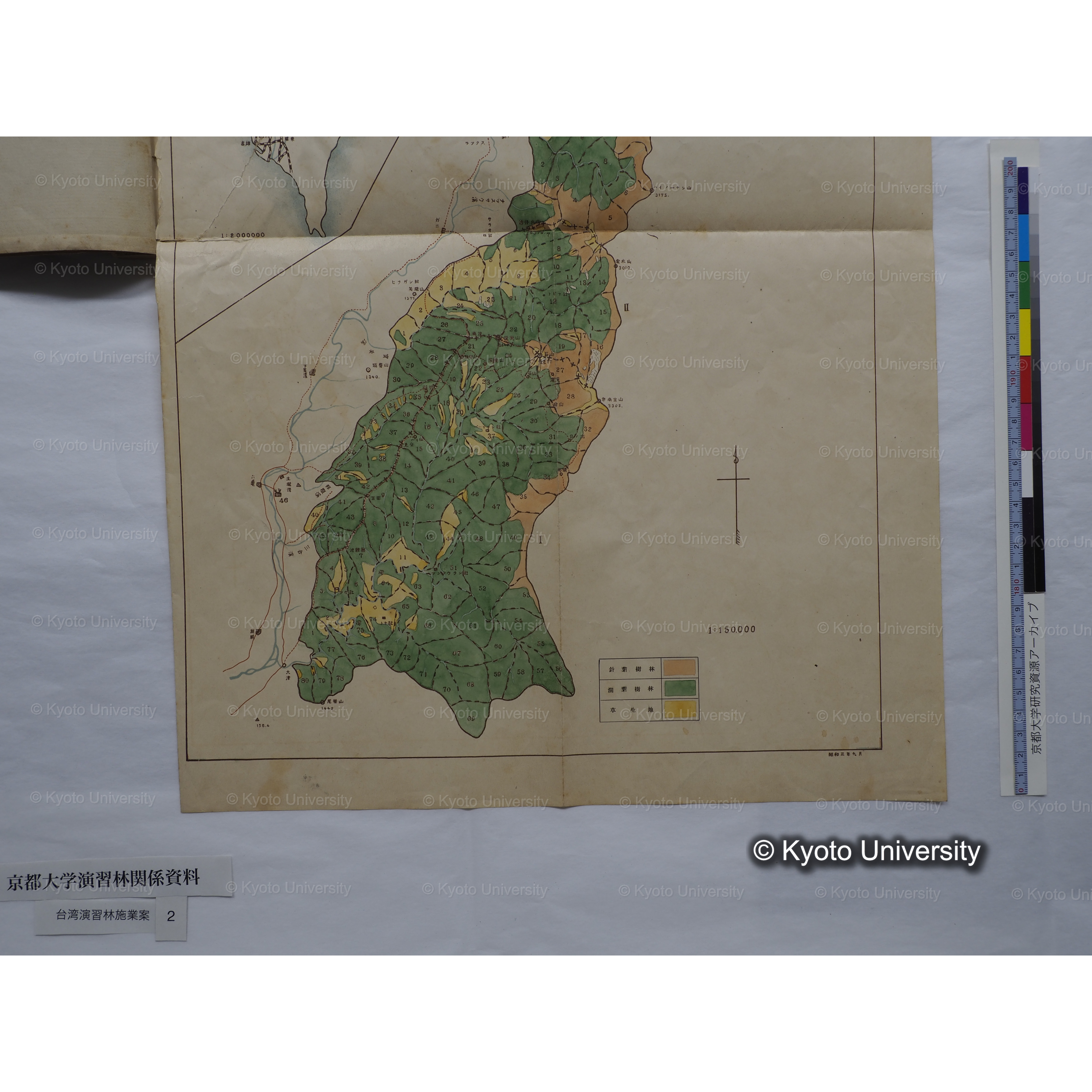 台湾演習林　施業案　実行期間＜自昭和 6年／至昭和12年＞　昭和六年四月編成. (183)