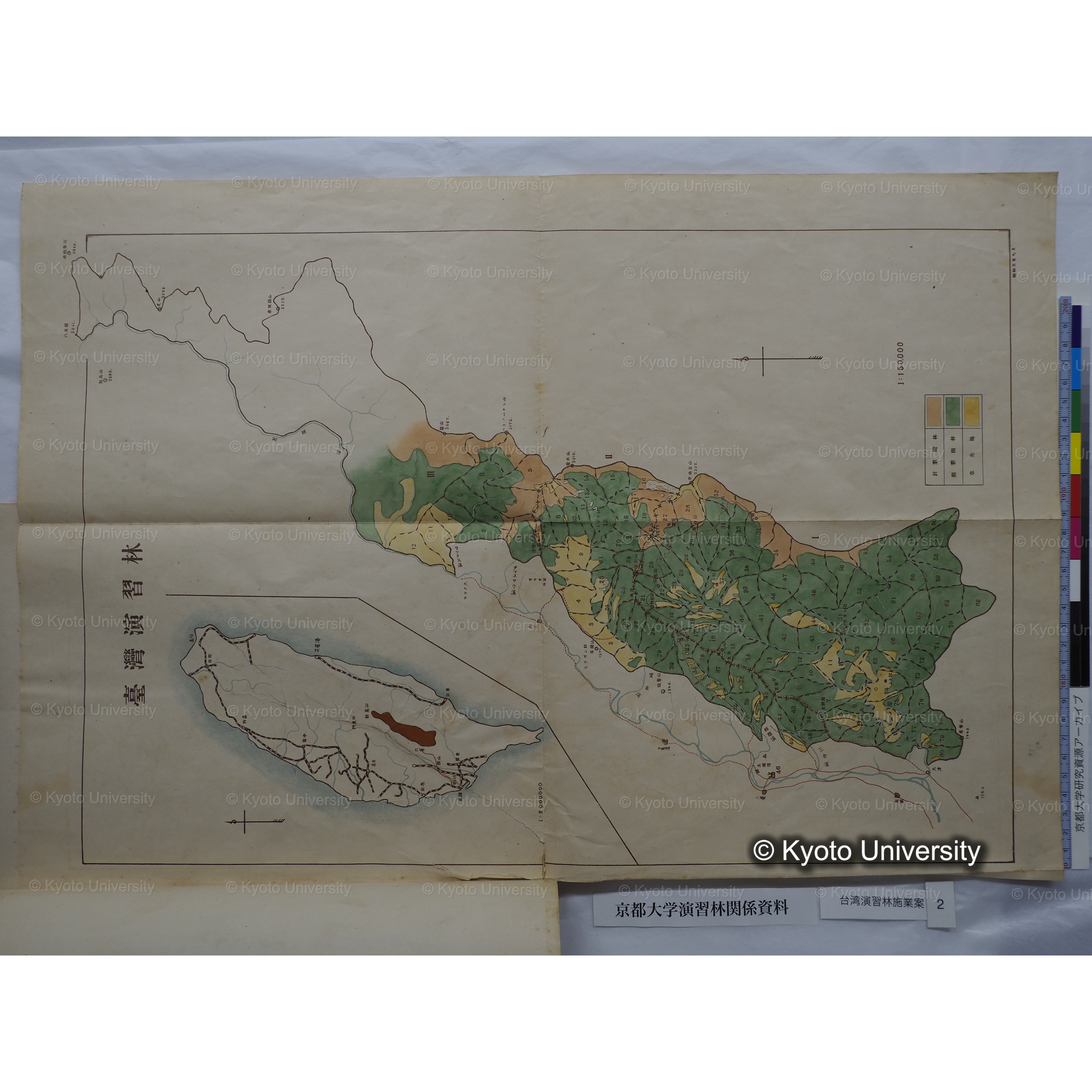 台湾演習林　施業案　実行期間＜自昭和 6年／至昭和12年＞　昭和六年四月編成. (185)