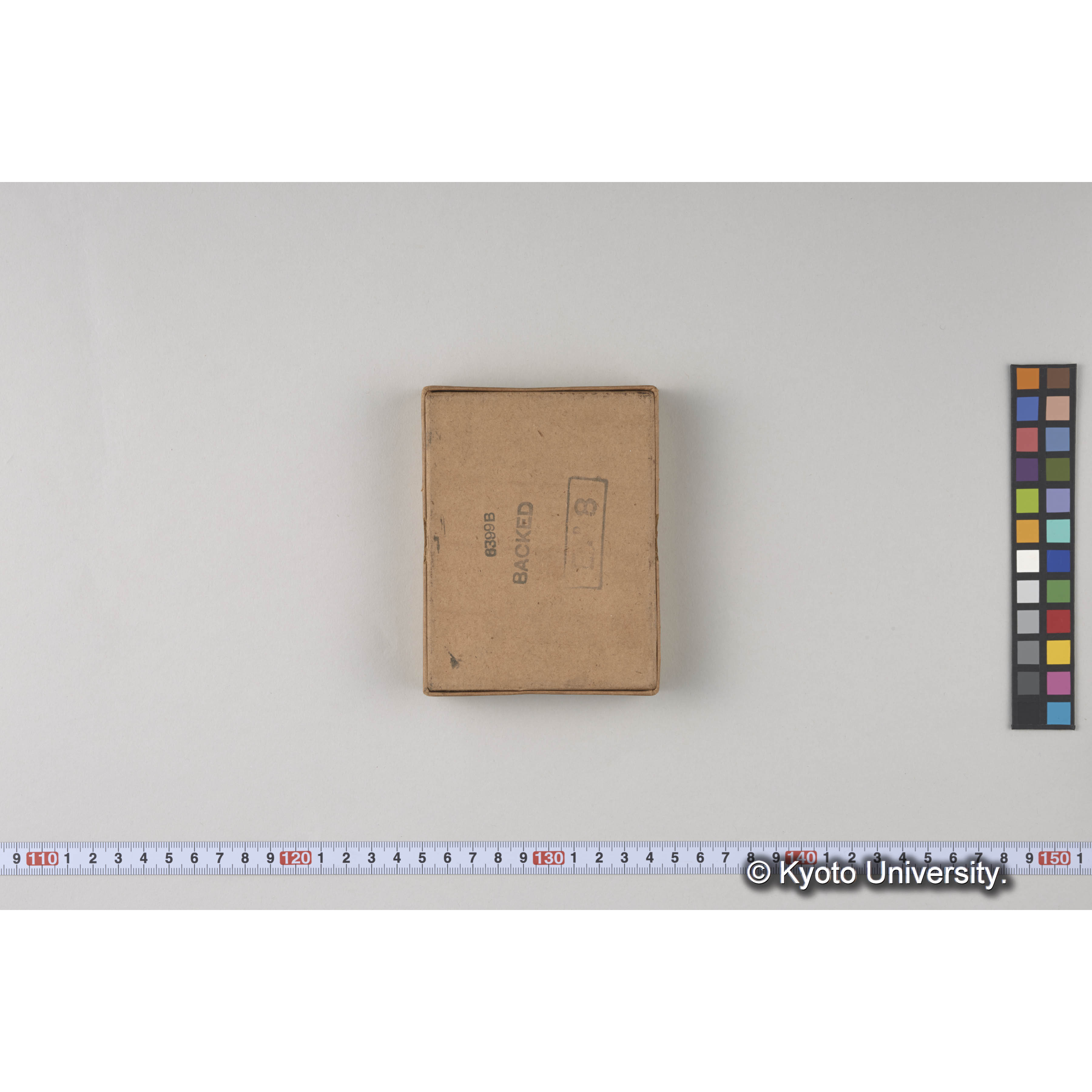 ガラス乾板樺太11 (1)