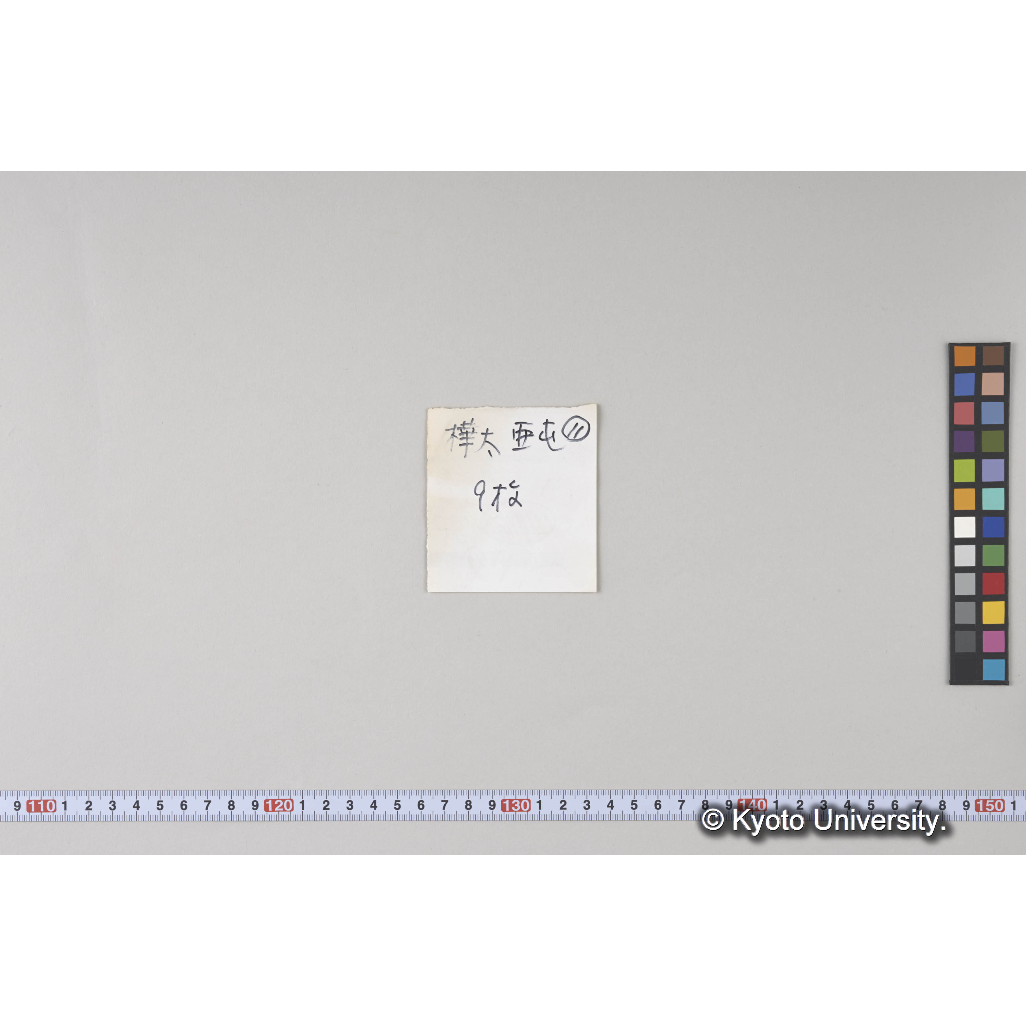 ガラス乾板樺太11 (4)