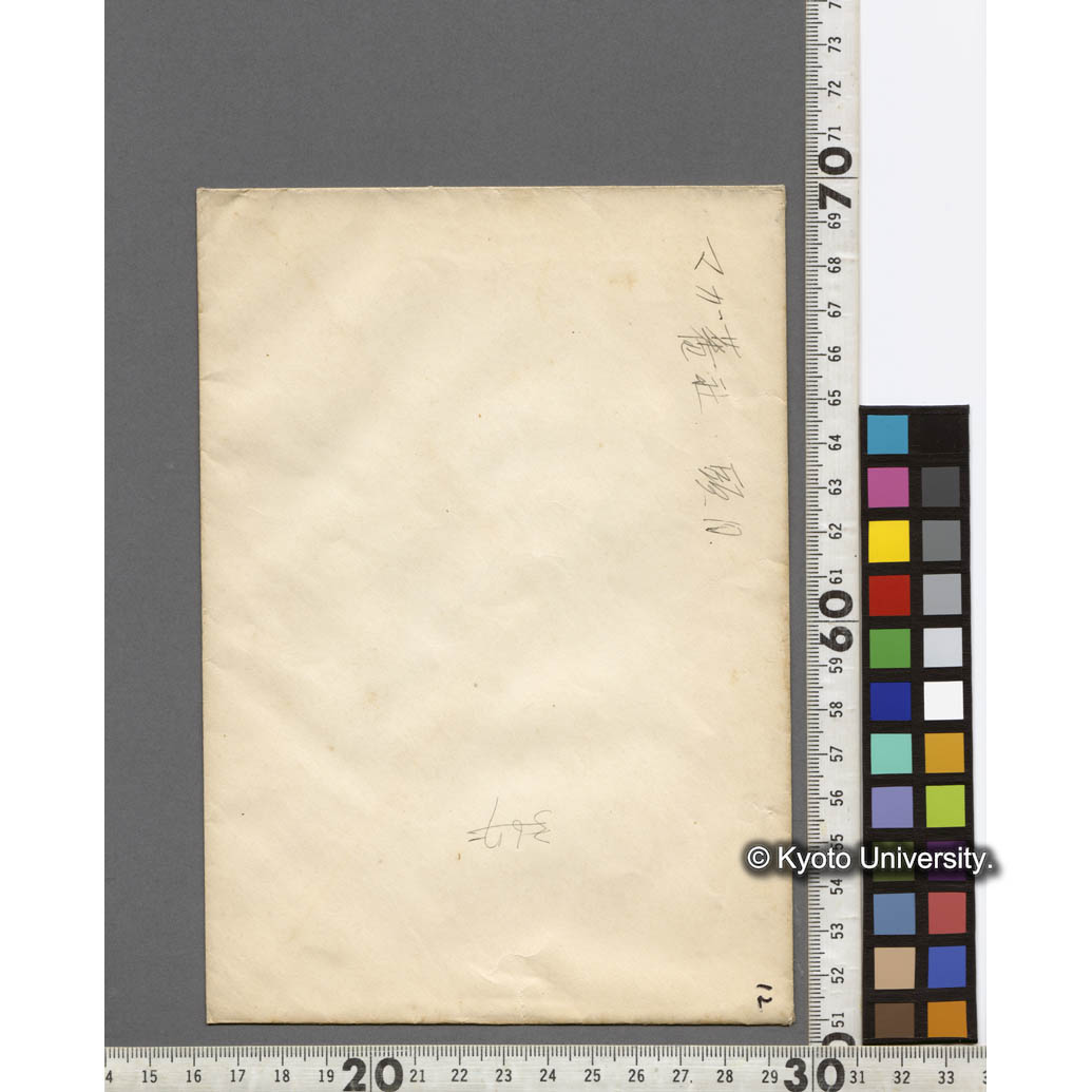 マガ社の頭目 (2)