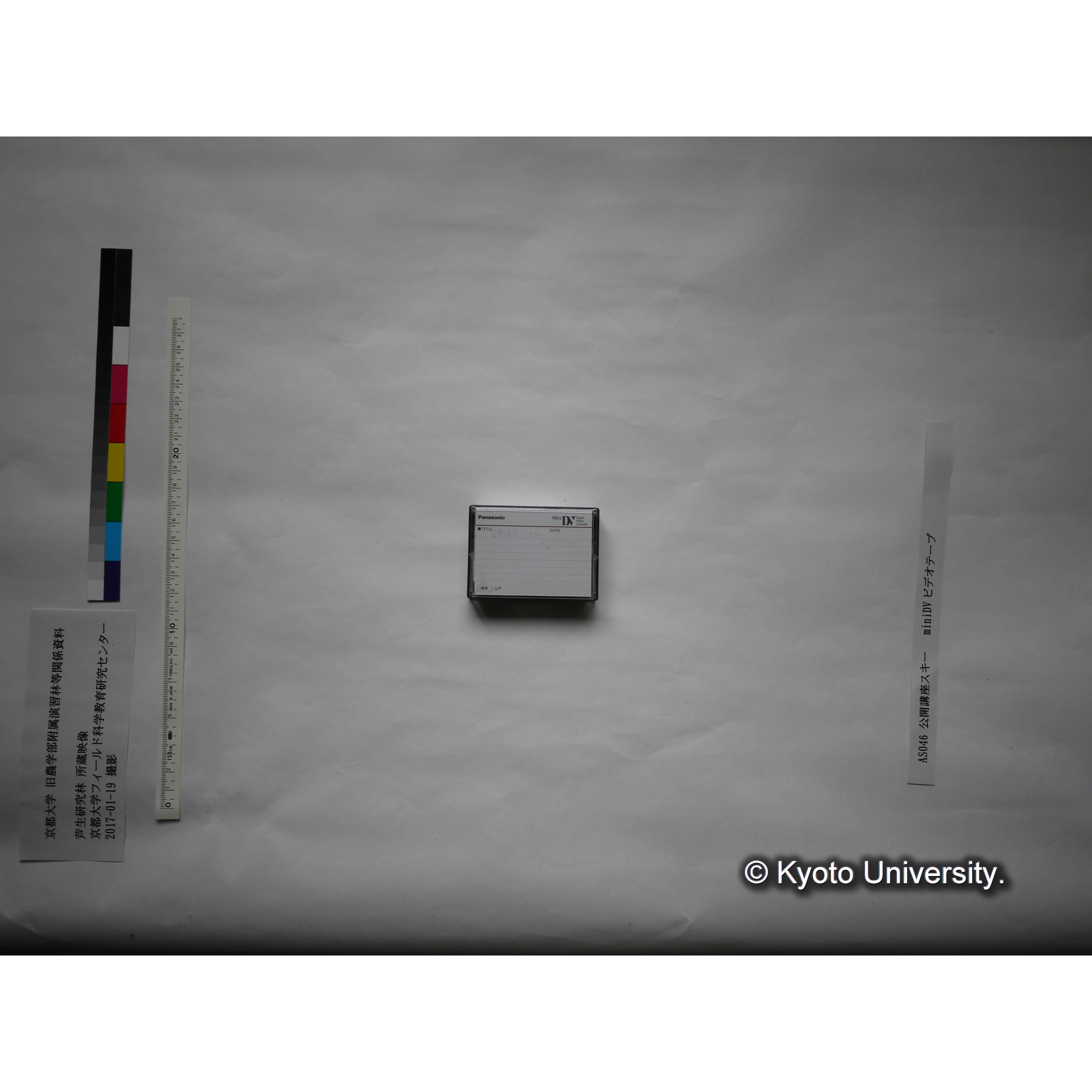 芦生演習林公開講座、スキー (1)