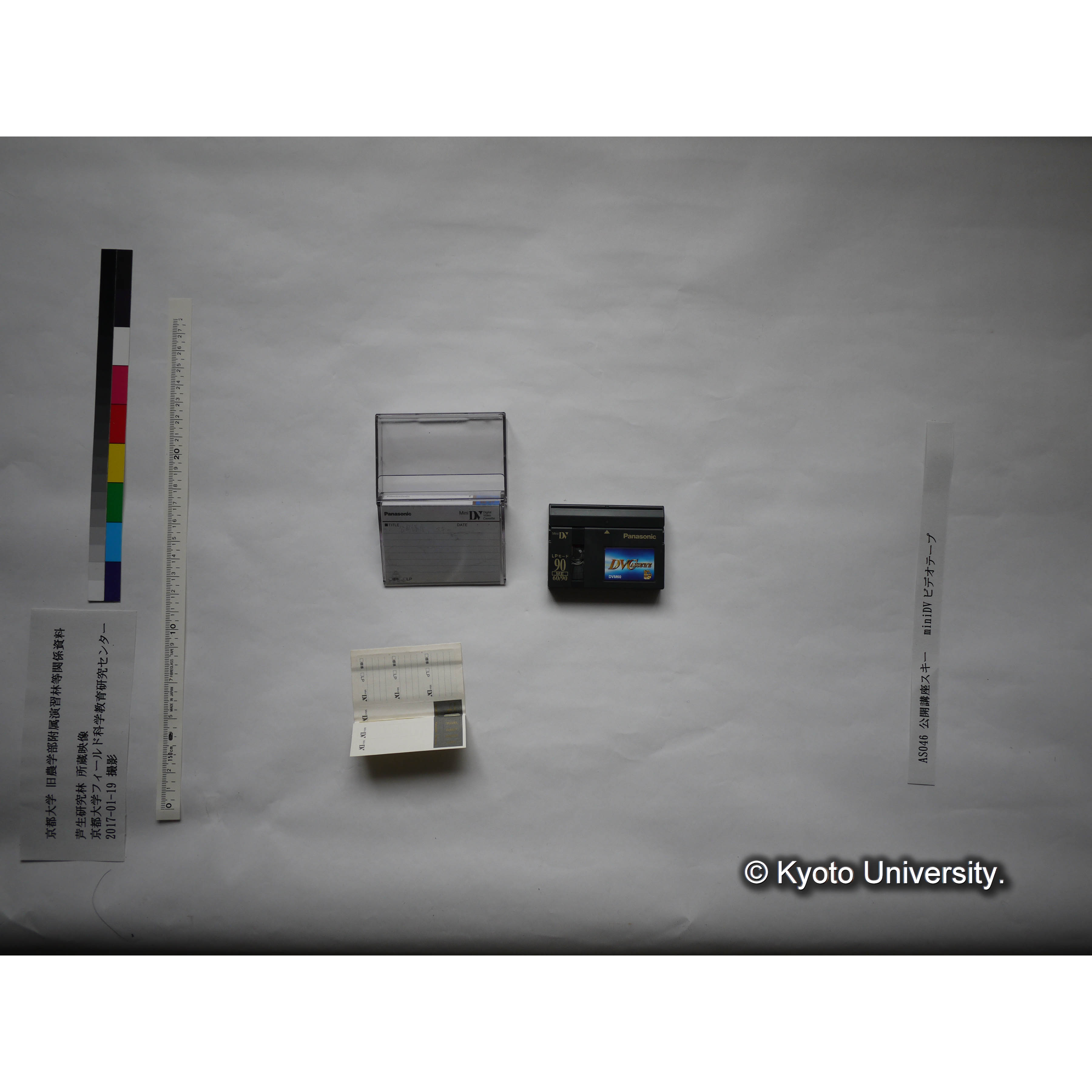 芦生演習林公開講座、スキー (2)