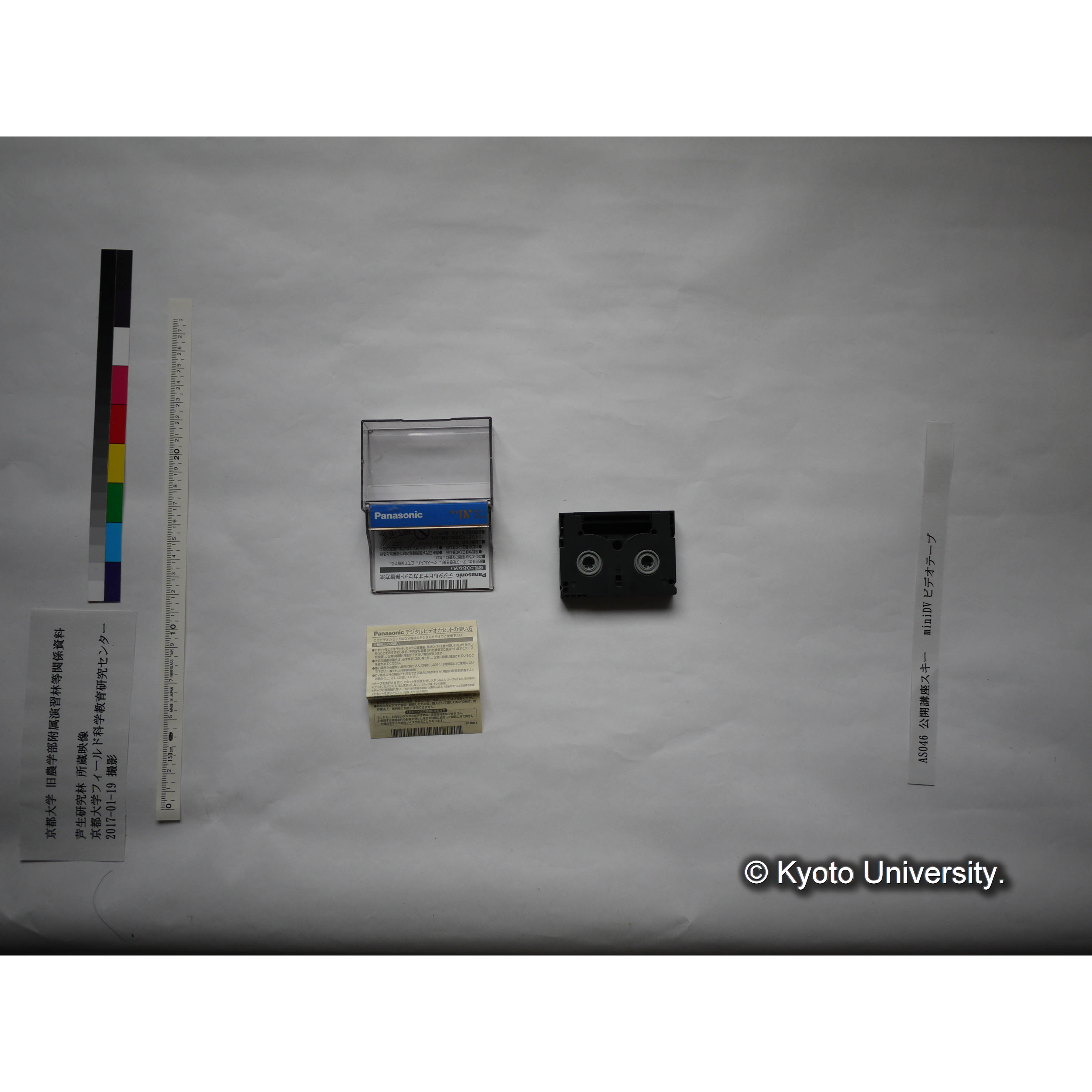 芦生演習林公開講座、スキー (3)