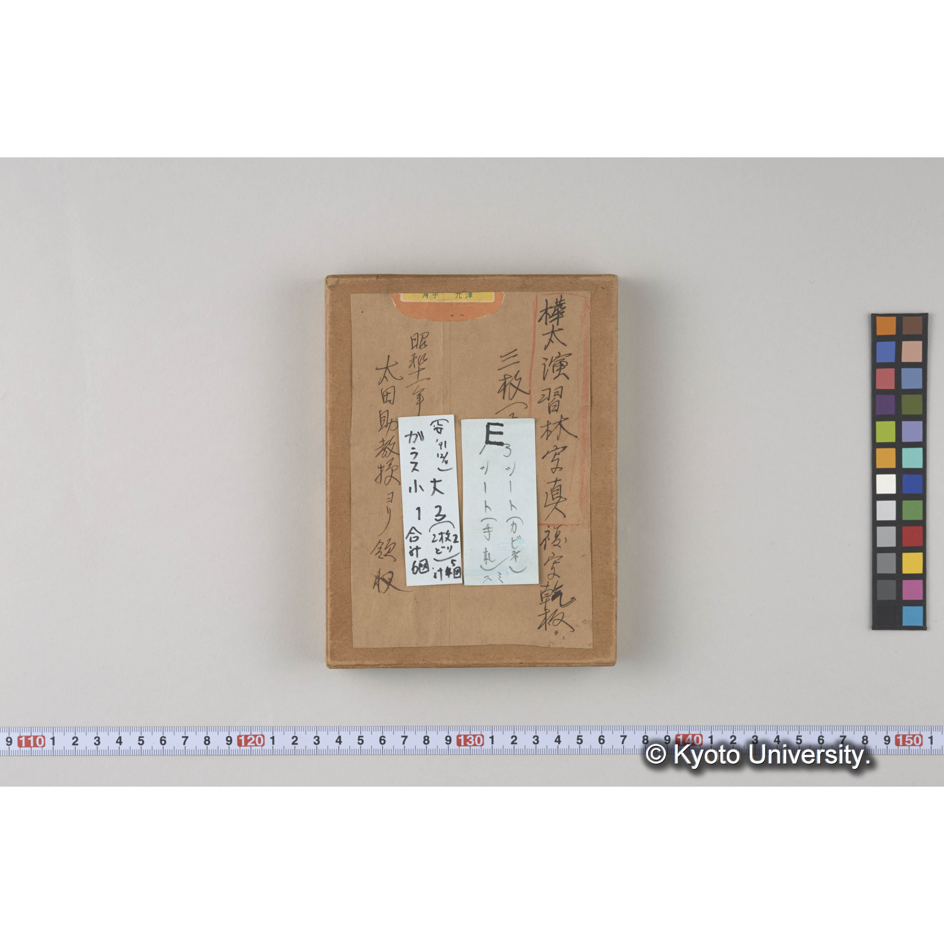 ガラス乾板E (3)