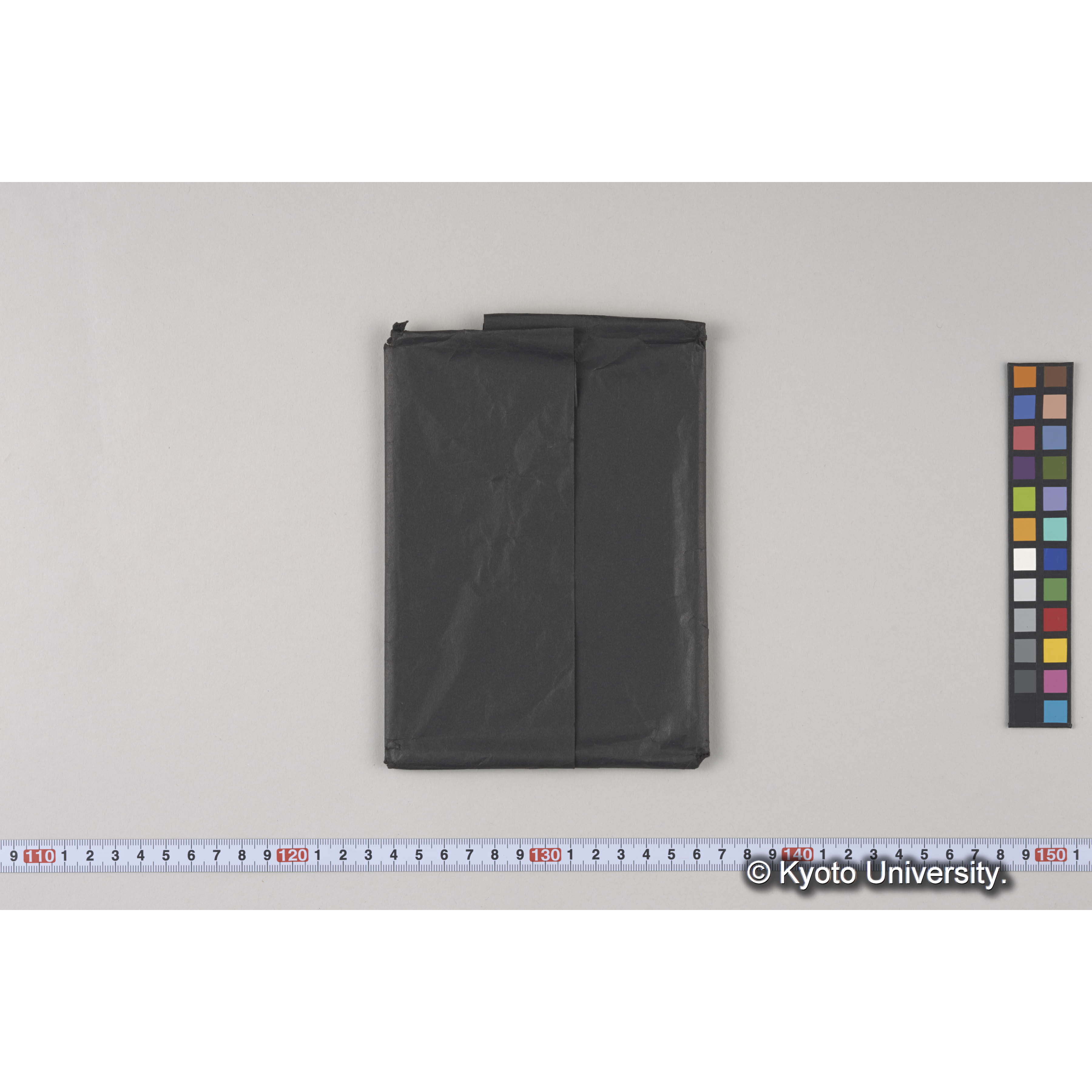 ガラス乾板E (6)