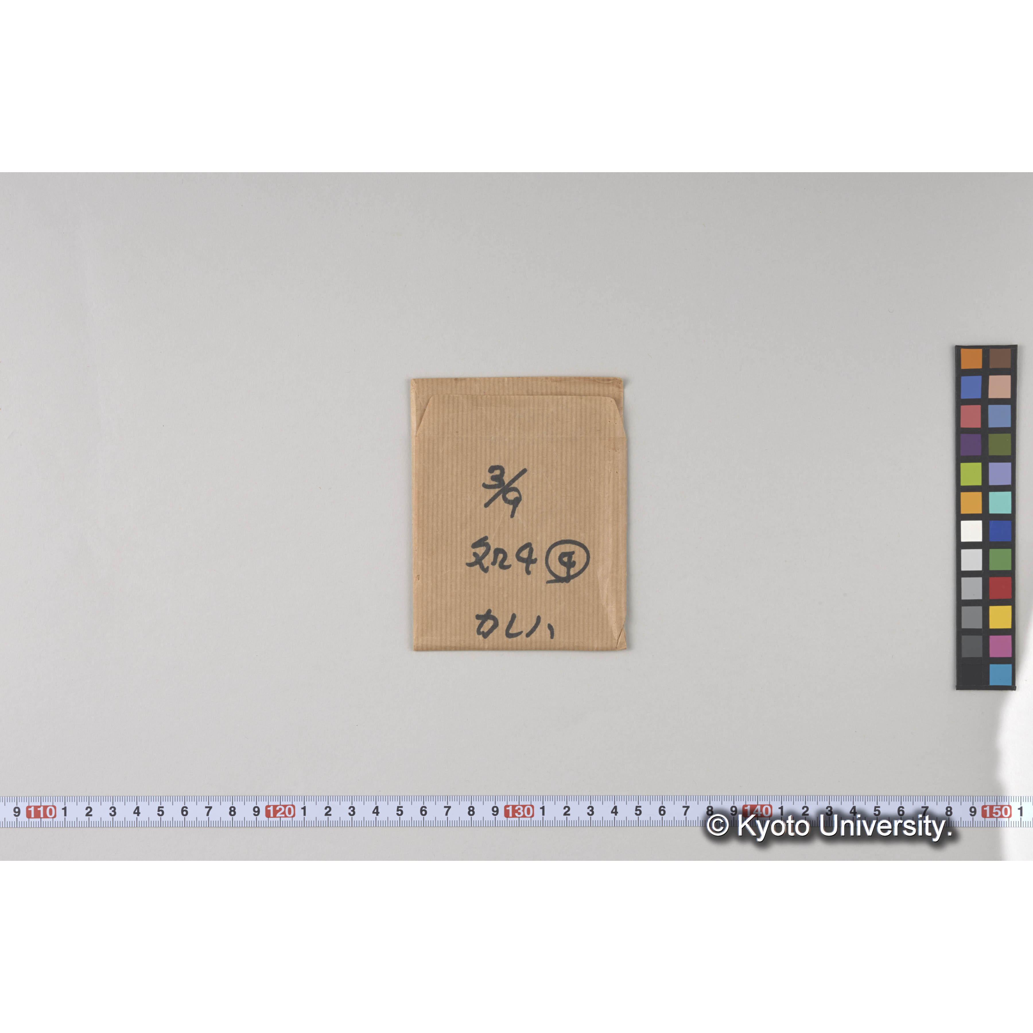 ガラス乾板樺太08 (1)