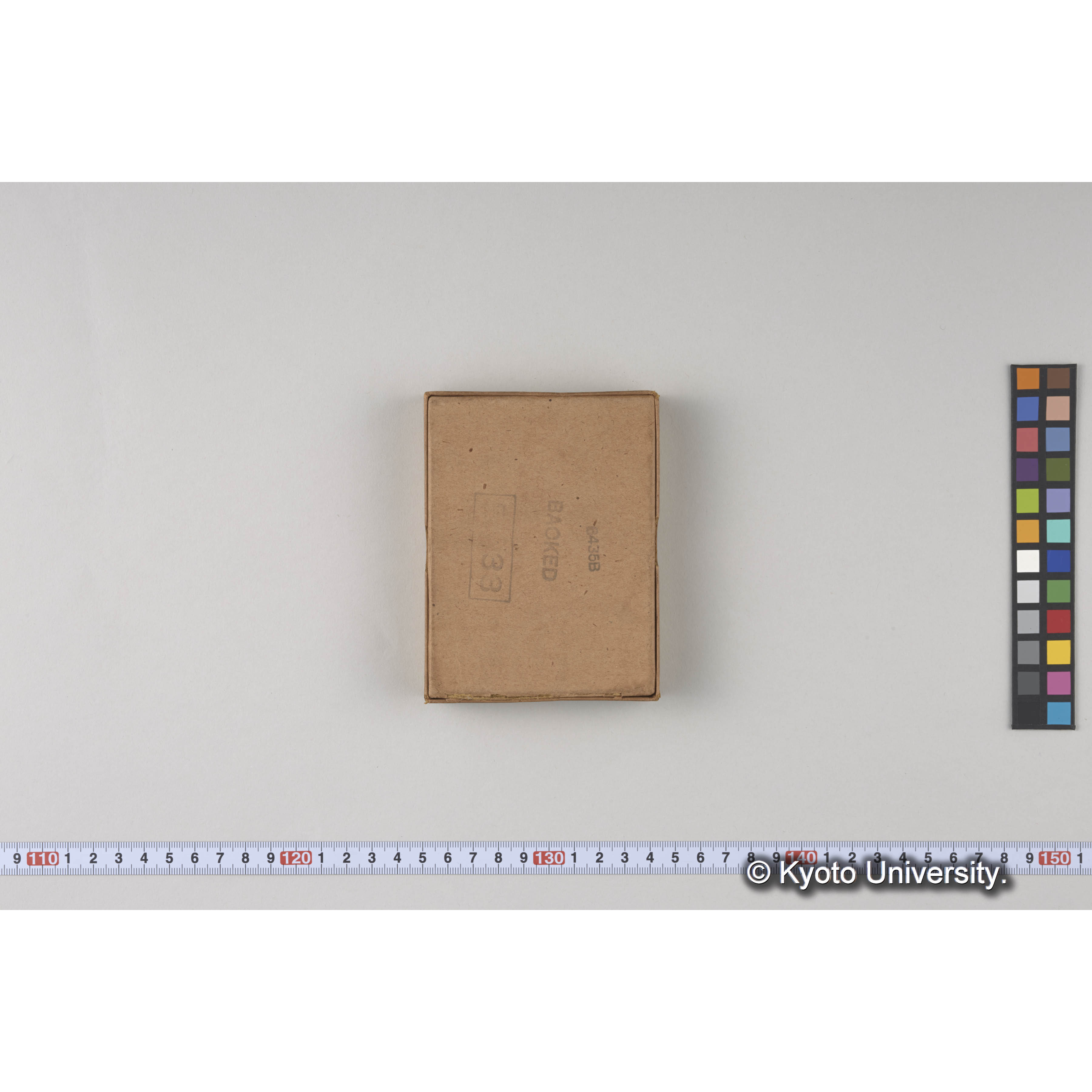 ガラス乾板樺太08 (5)