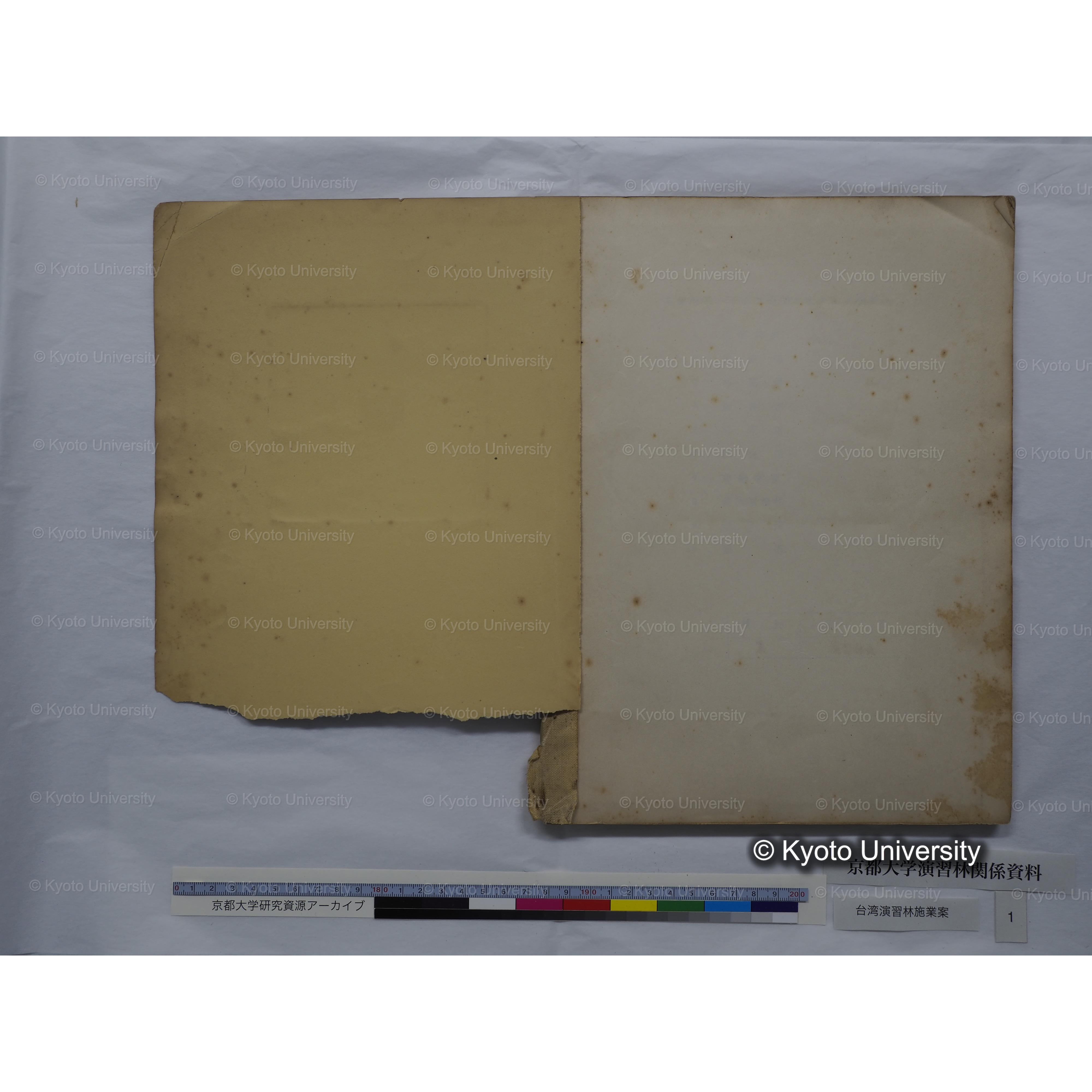 台湾演習林　施業案　実行期間＜自昭和 6年／至昭和12年＞　昭和六年四月編成. (2)