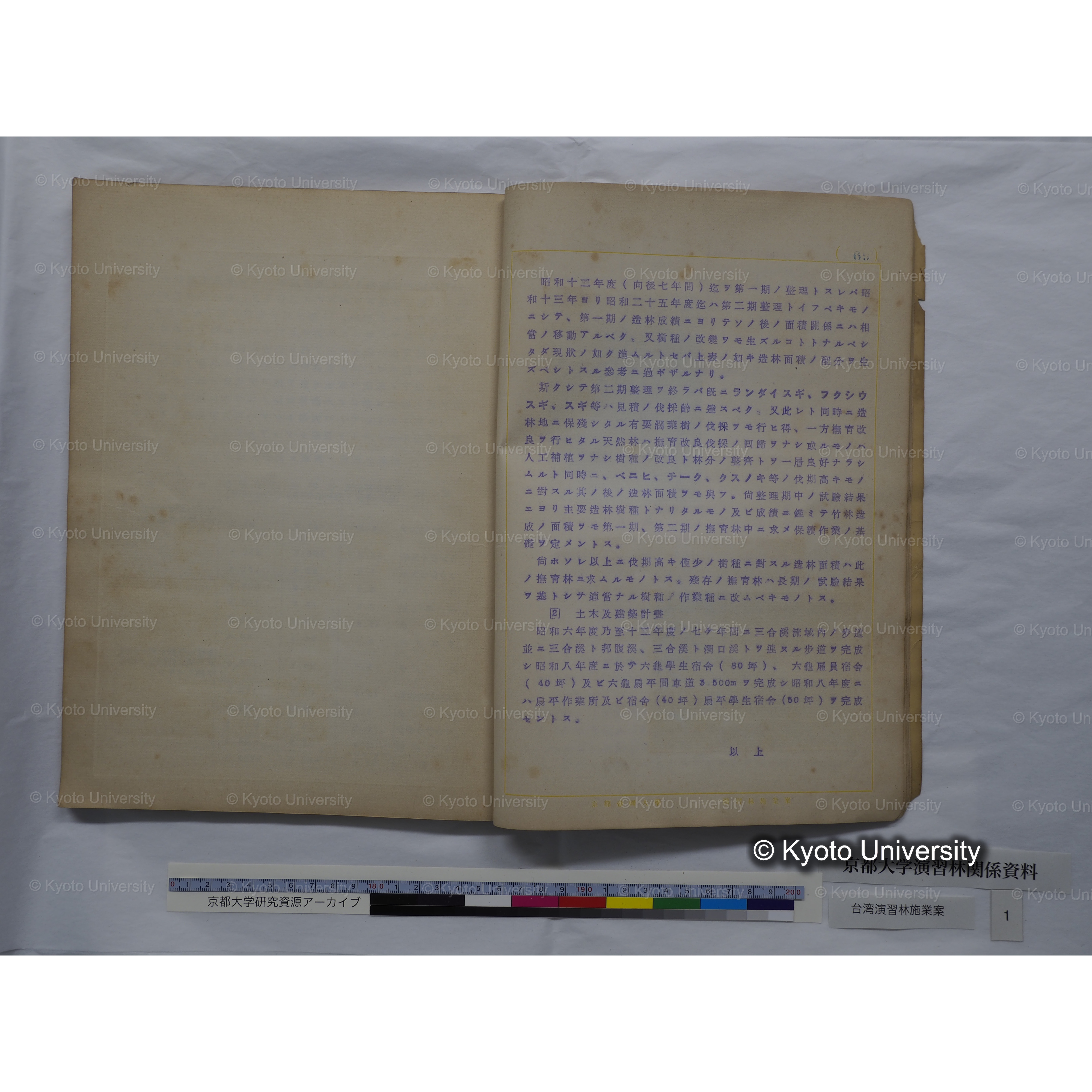 台湾演習林　施業案　実行期間＜自昭和 6年／至昭和12年＞　昭和六年四月編成. (6)