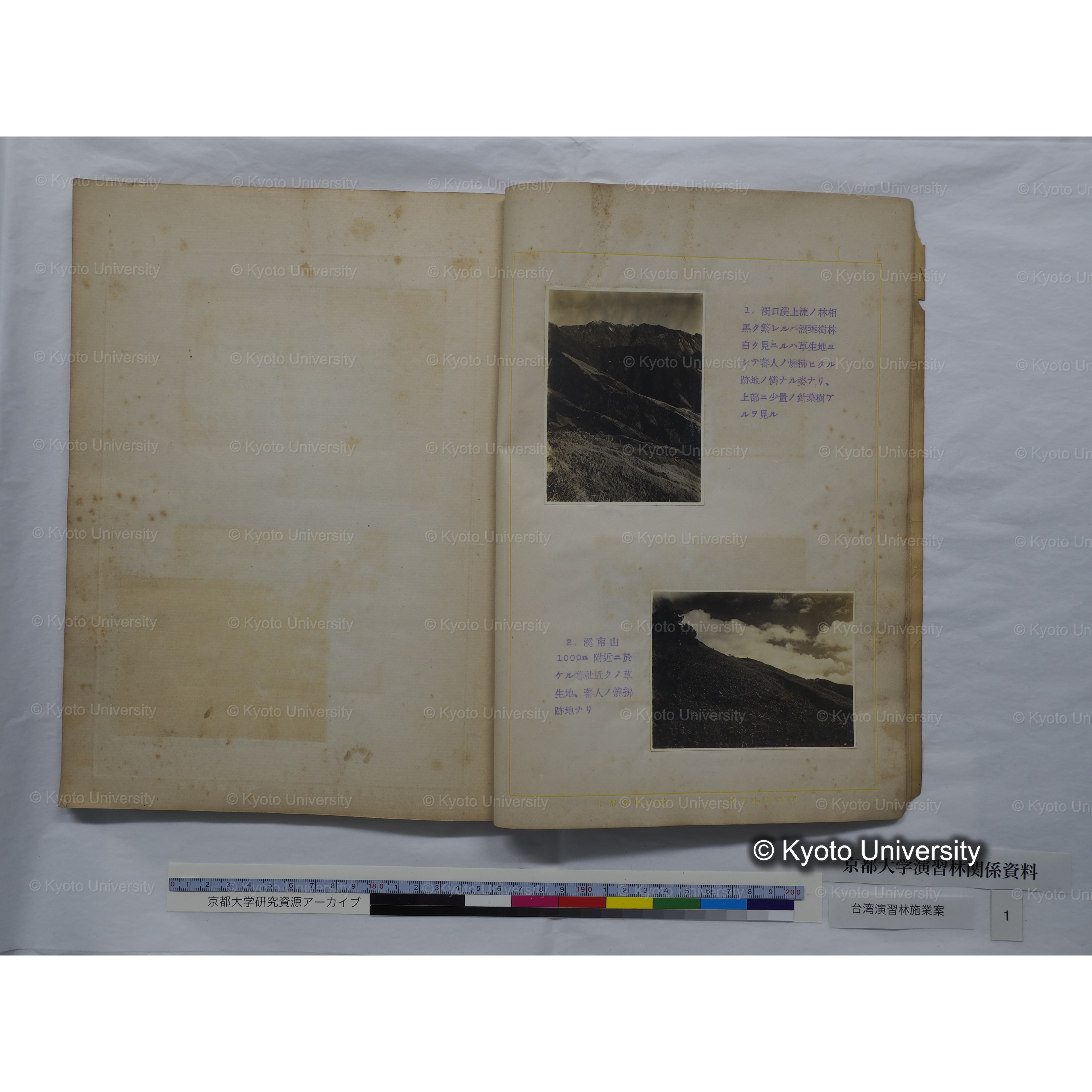 台湾演習林　施業案　実行期間＜自昭和 6年／至昭和12年＞　昭和六年四月編成. (7)