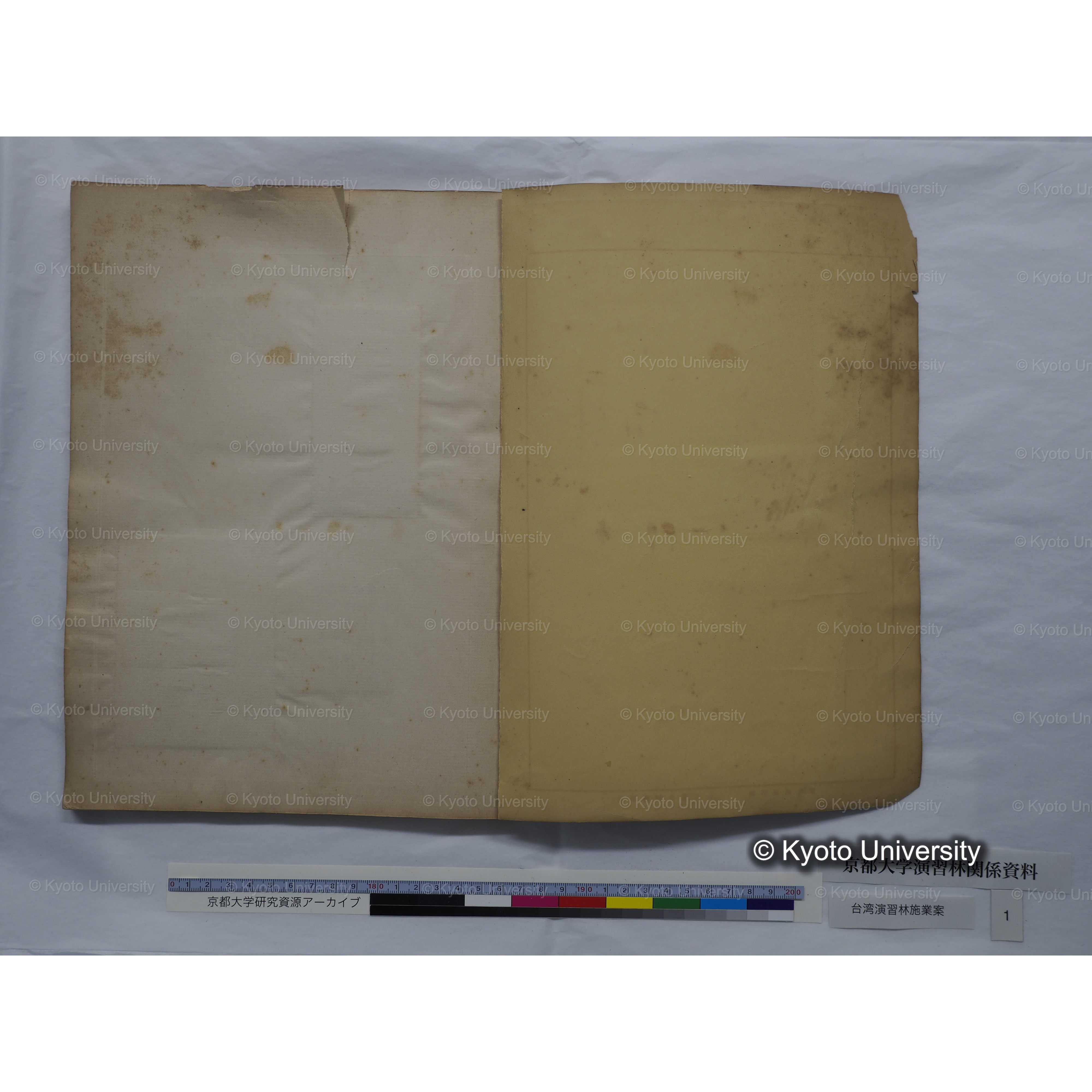 台湾演習林　施業案　実行期間＜自昭和 6年／至昭和12年＞　昭和六年四月編成. (9)