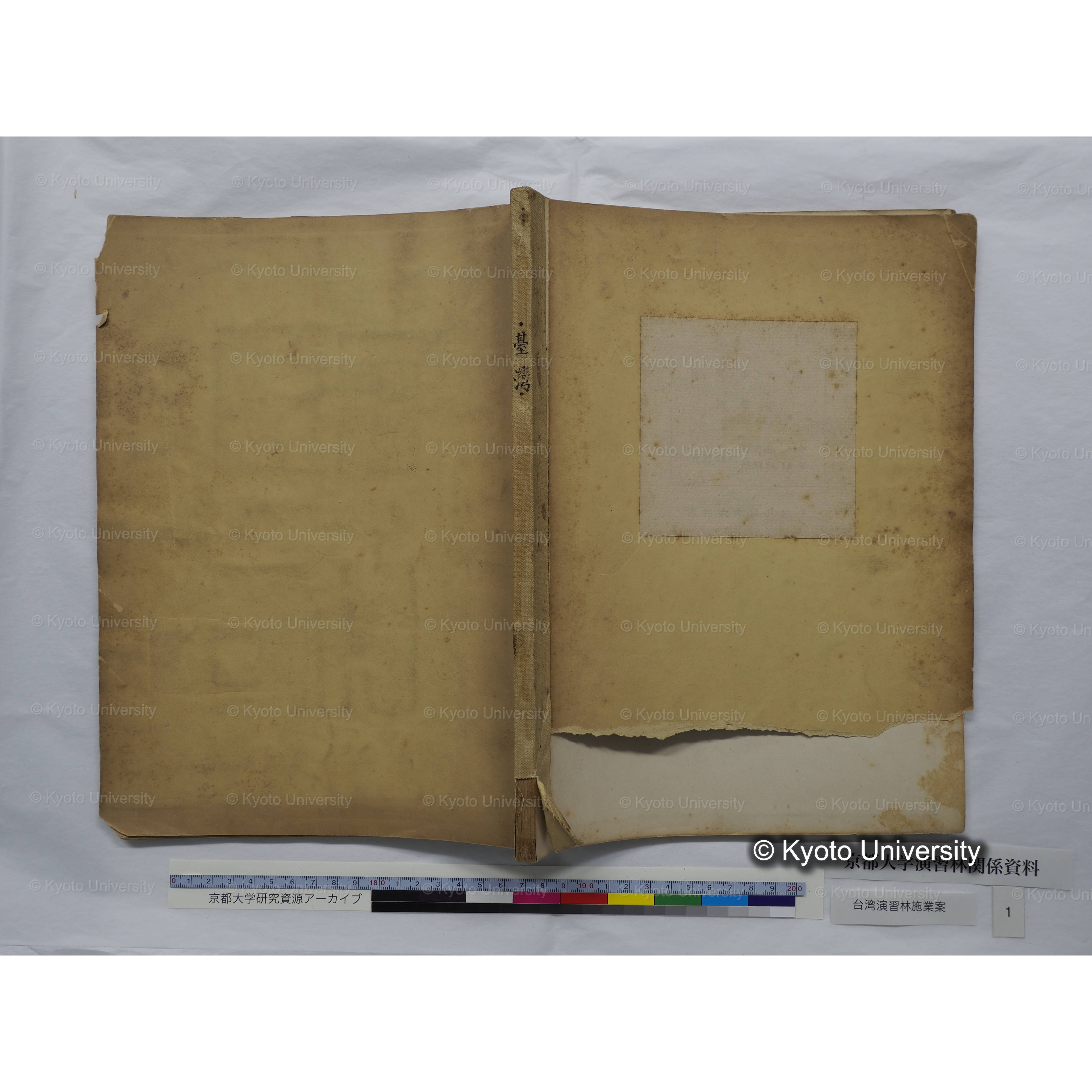 台湾演習林　施業案　実行期間＜自昭和 6年／至昭和12年＞　昭和六年四月編成. (11)