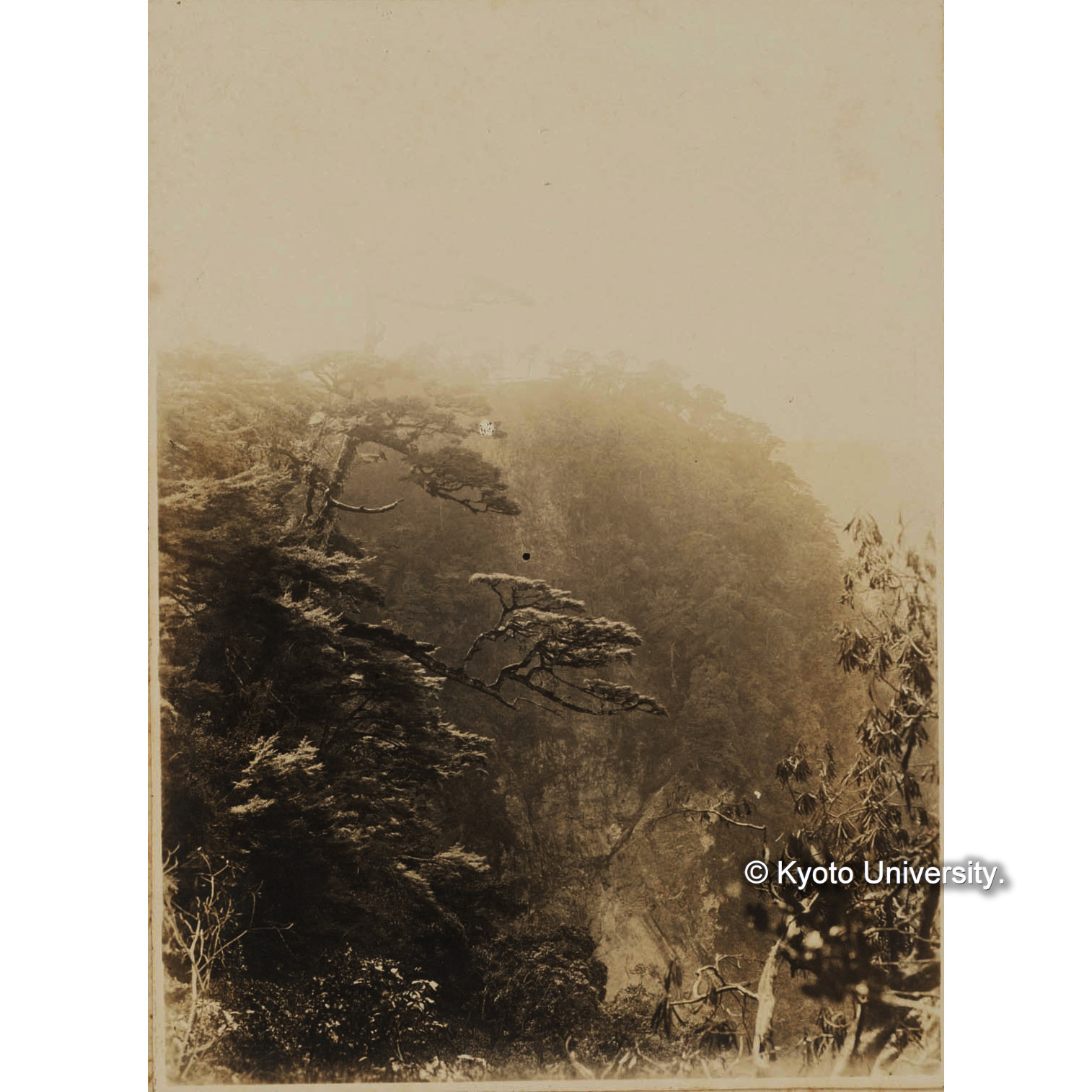 見晴駐在所附近 (1)