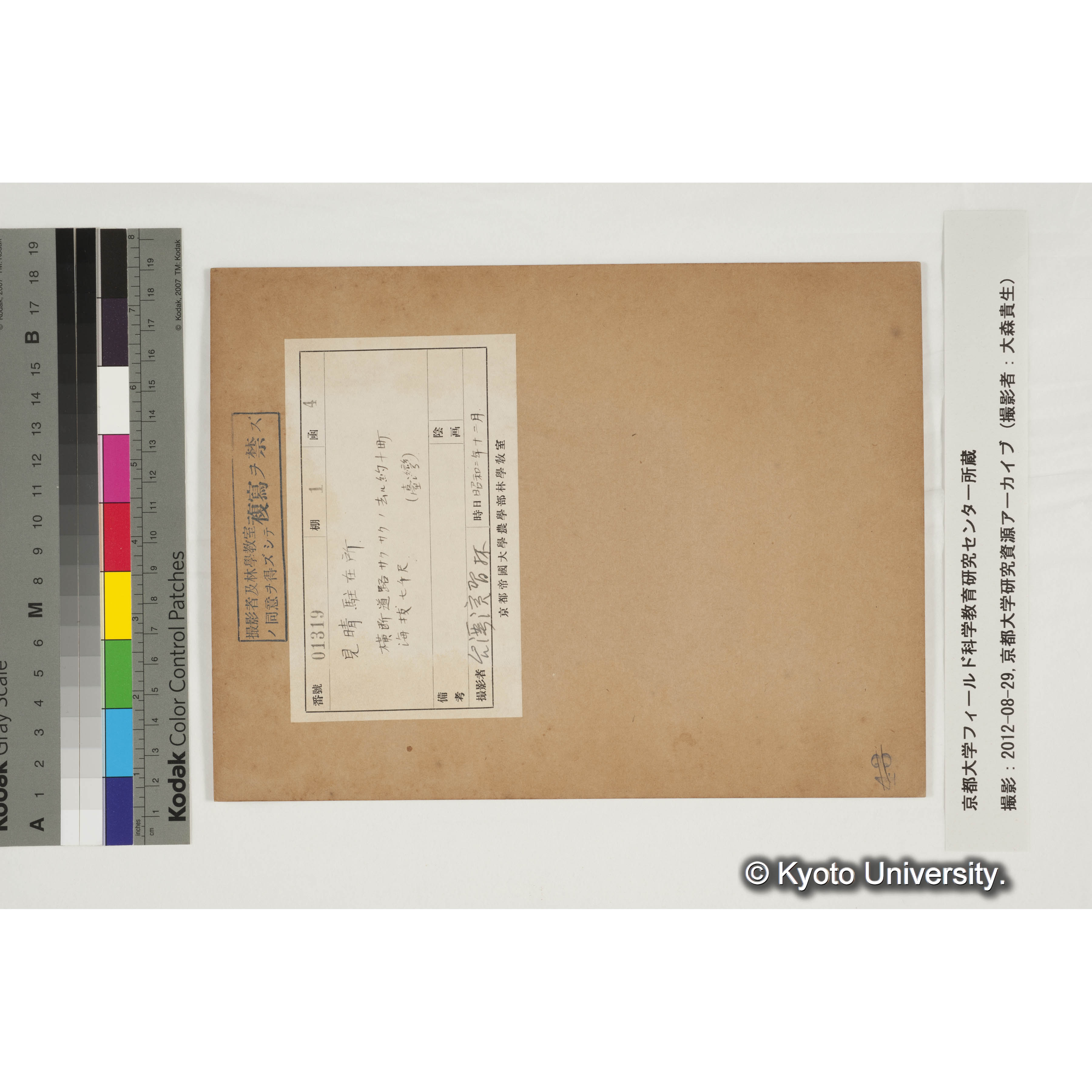 見晴駐在所附近 (3)