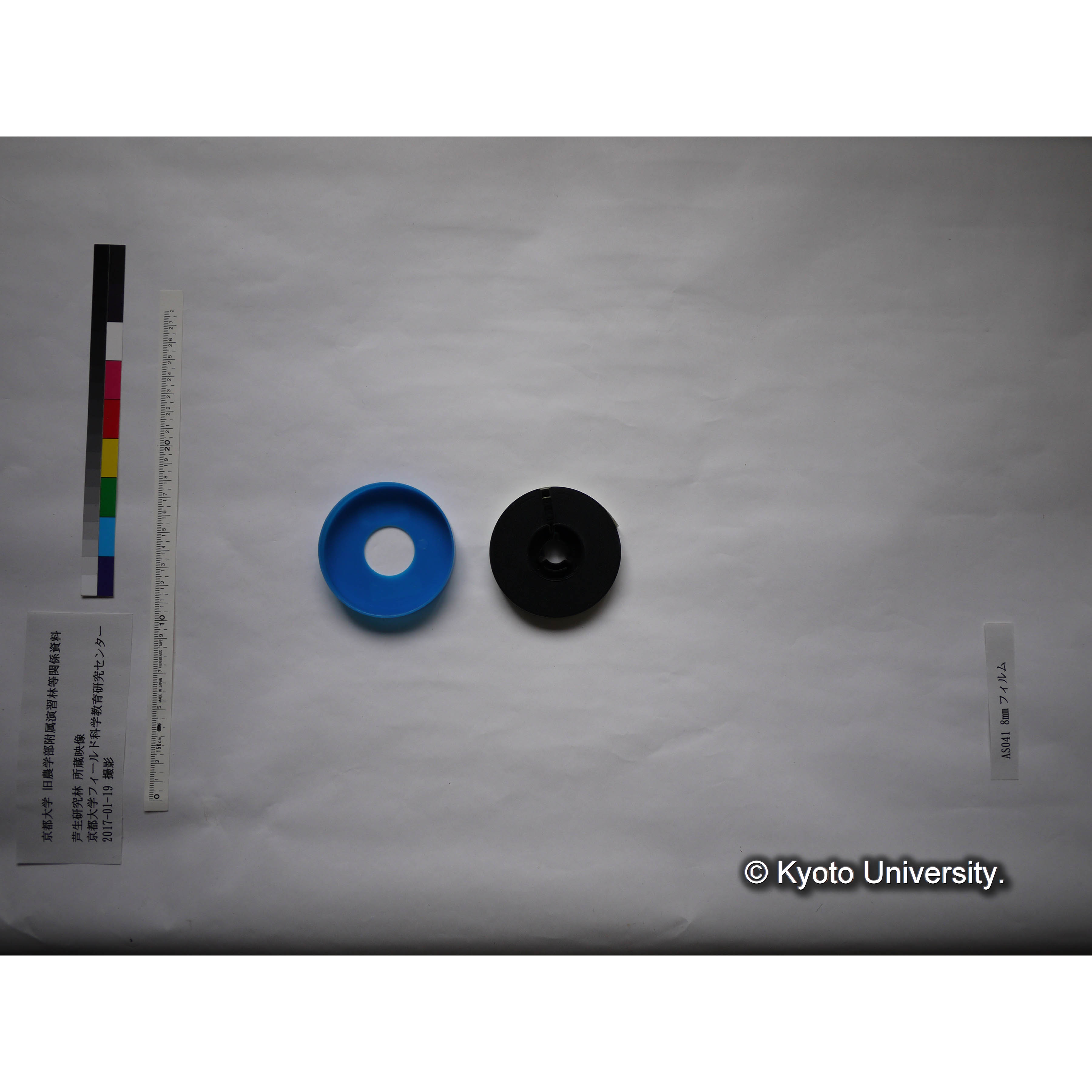 〔伐採された樹木、雪の芦生演習林構内〕 (3)