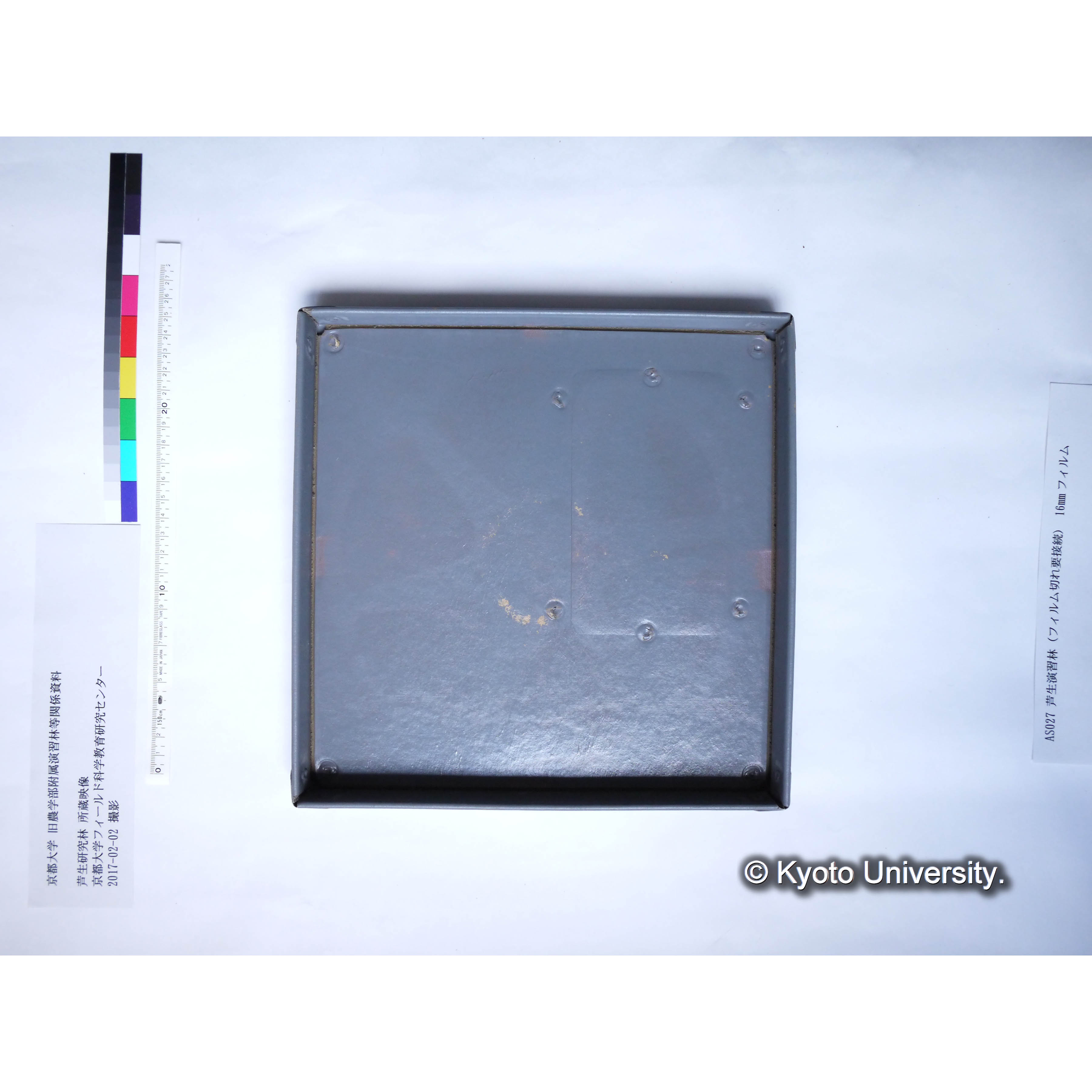 芦生演習林 (10)