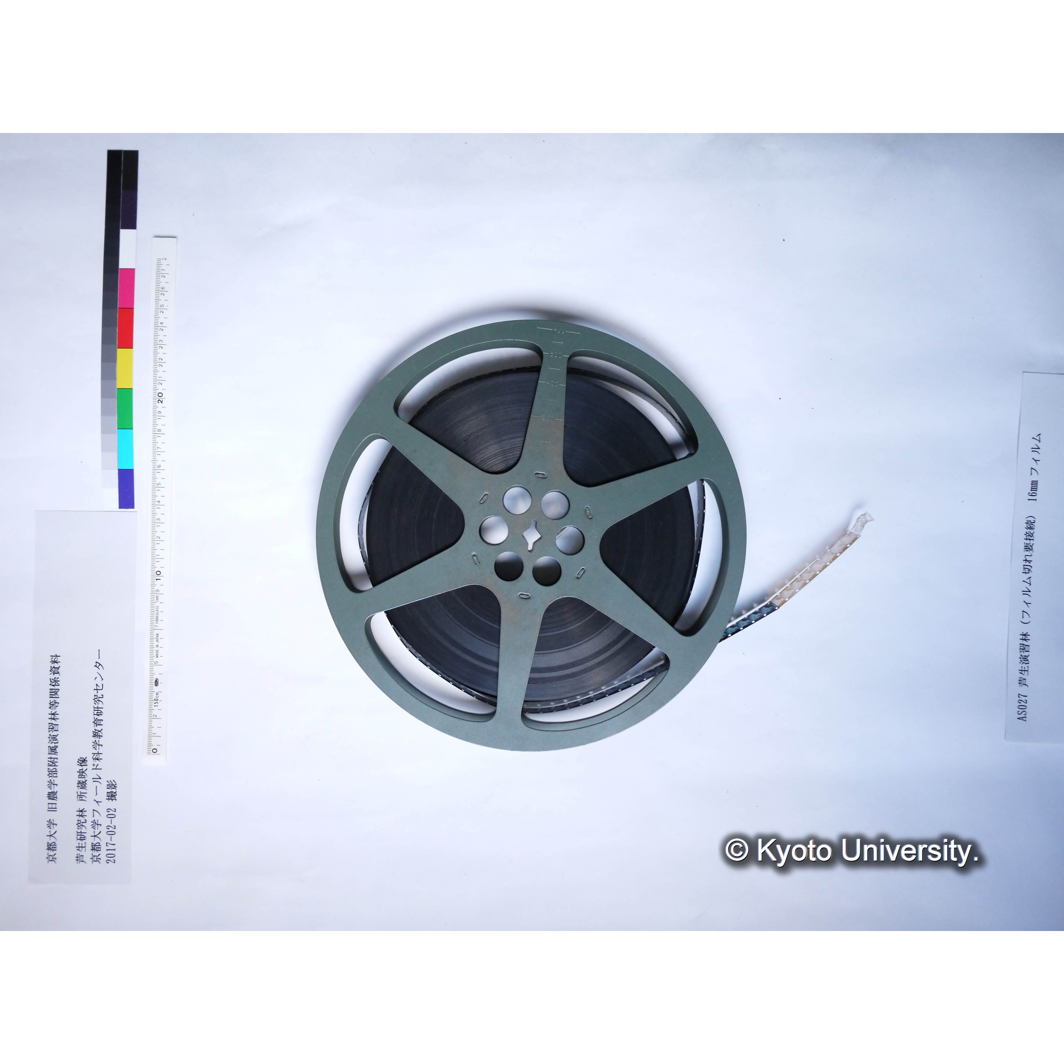 芦生演習林 (11)