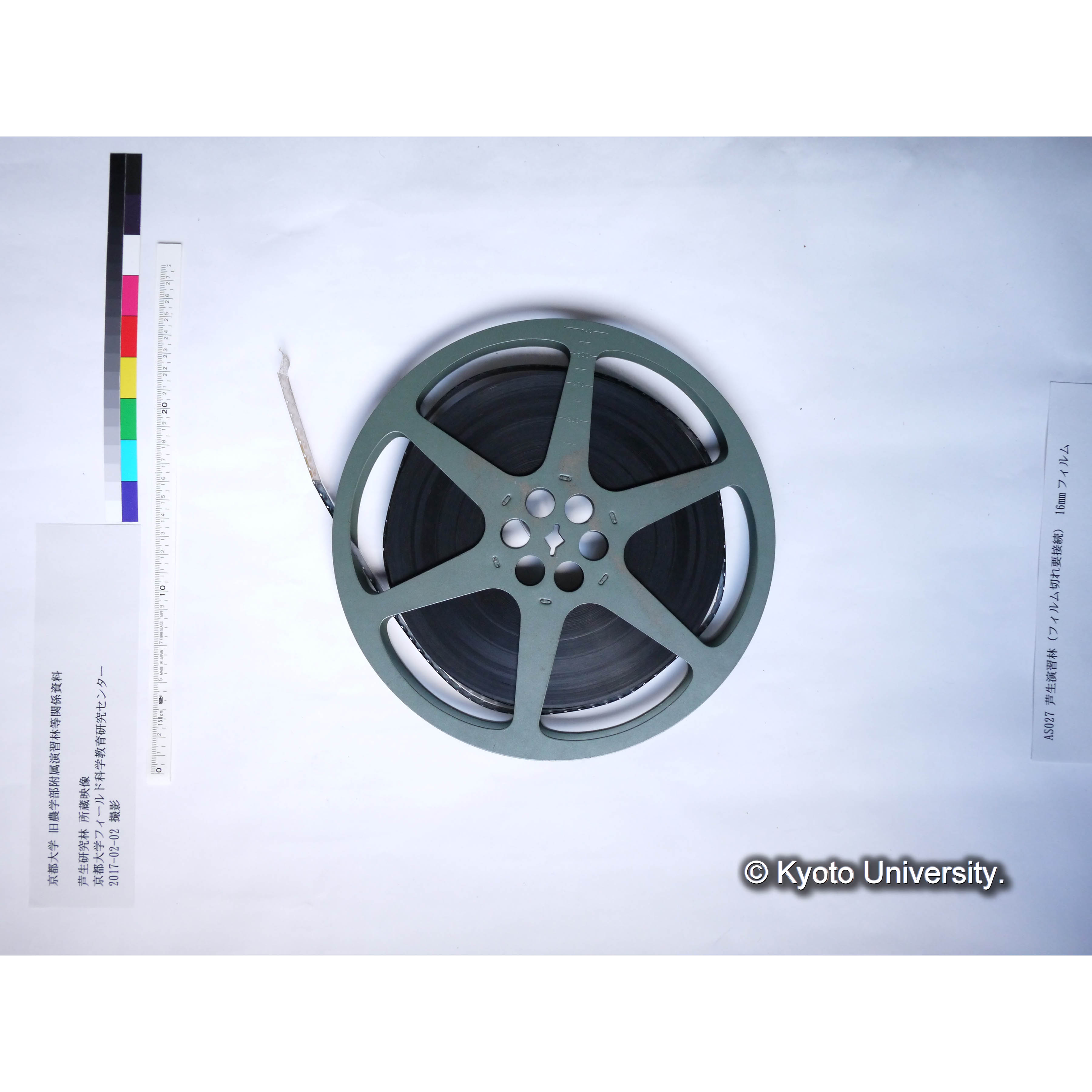 芦生演習林 (12)