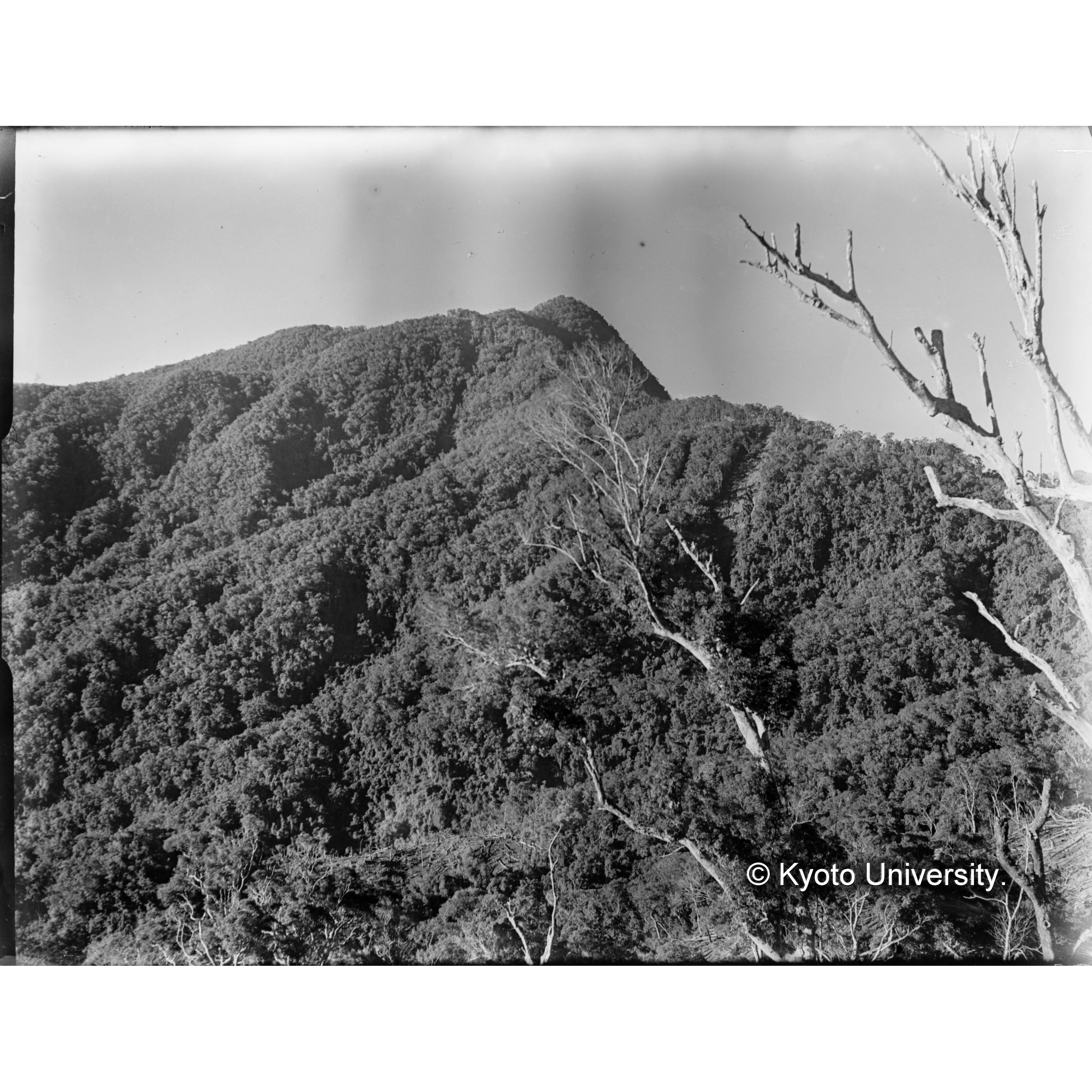 見附駐在所付近より鳳崗山を望む (1)